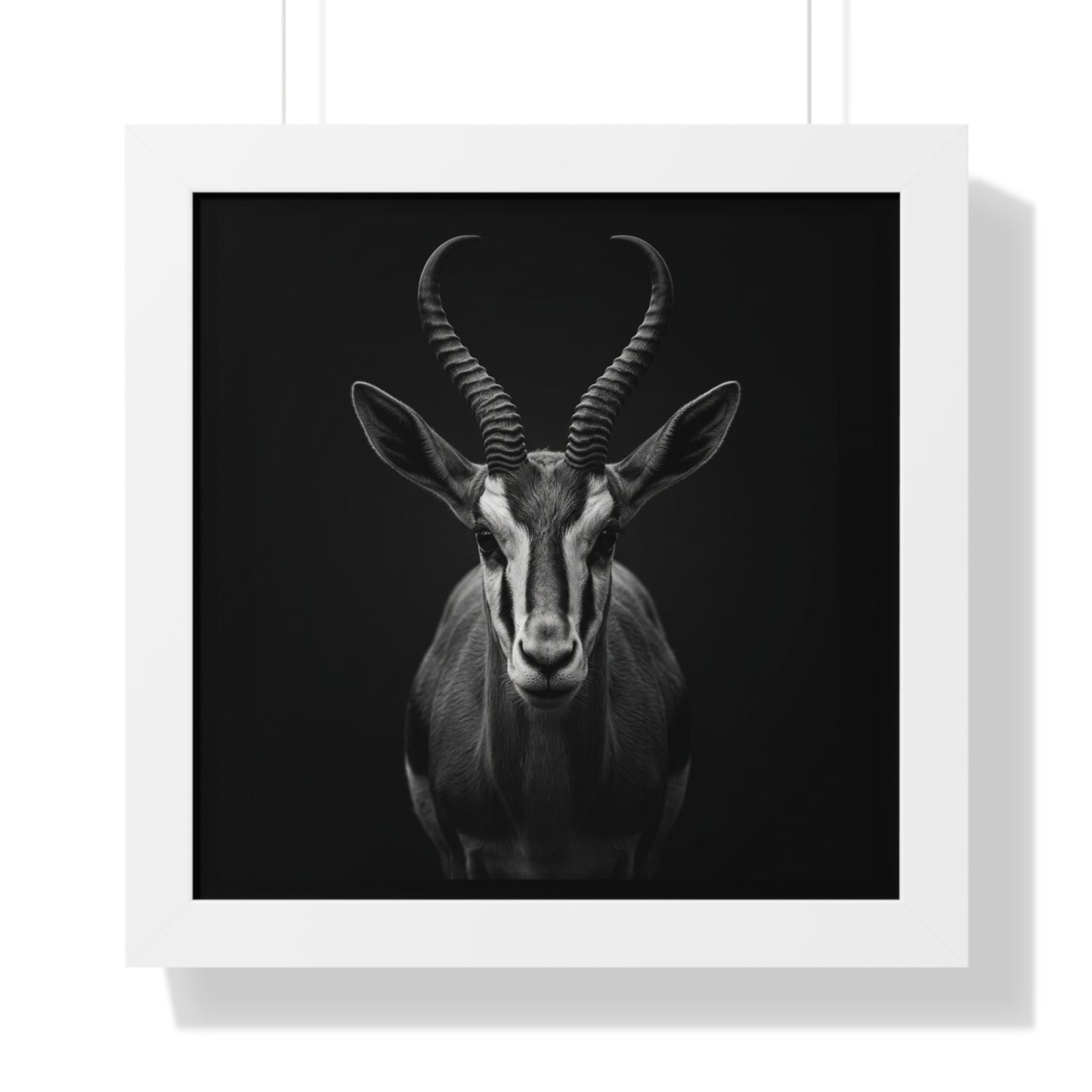 Framed Art Print – Springbok In Black