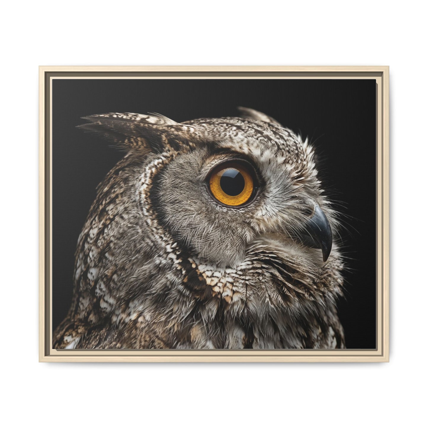 Framed Canvas Print — Scops Owl In Colour