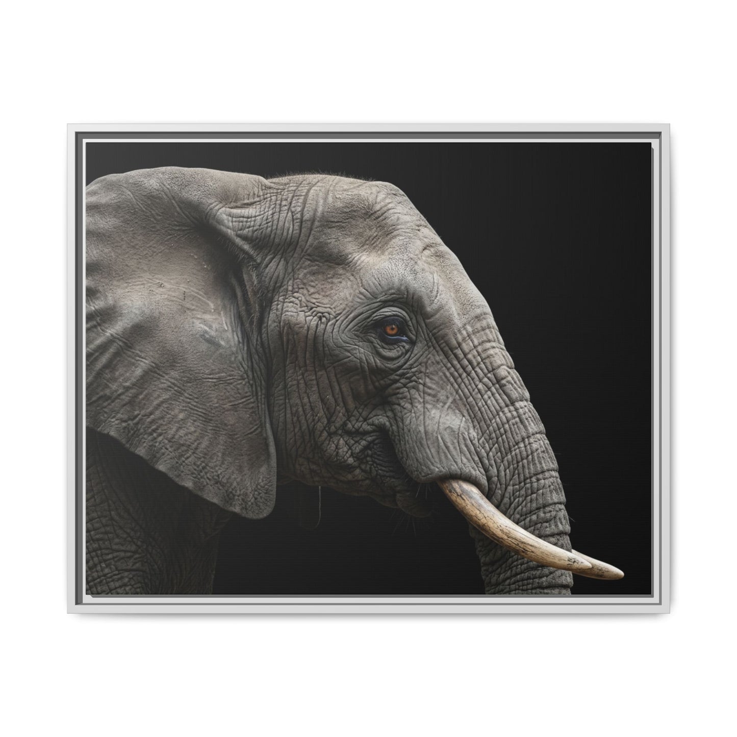 Framed Canvas Print — Elephant In Colour