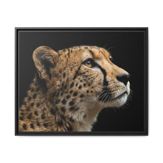Framed Canvas Print — Cheetah In Colour