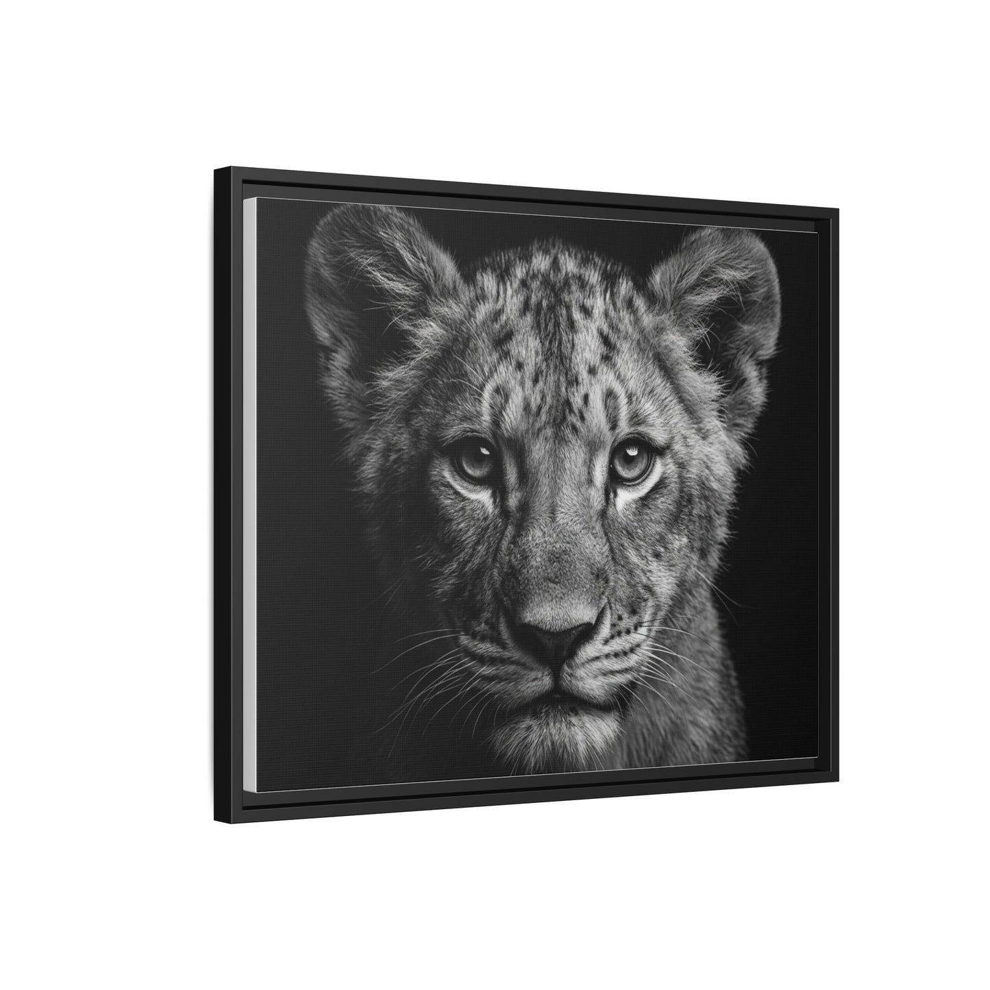 Framed Canvas Print — Lion Cub In Black