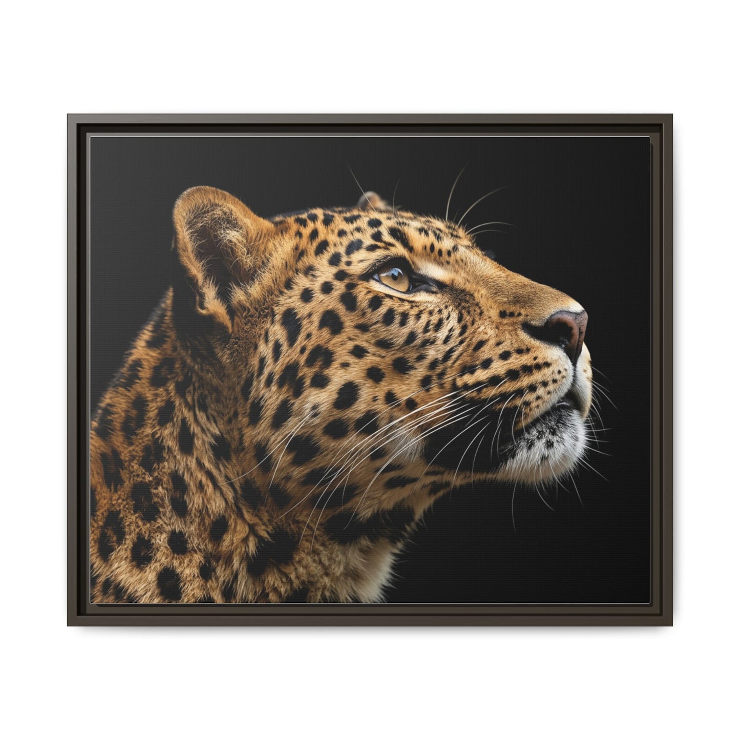 Framed Canvas Print — Leopard In Colour