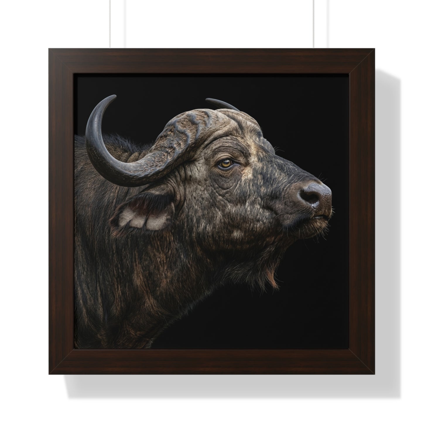 Framed Art Print – Cape Buffalo In Colour