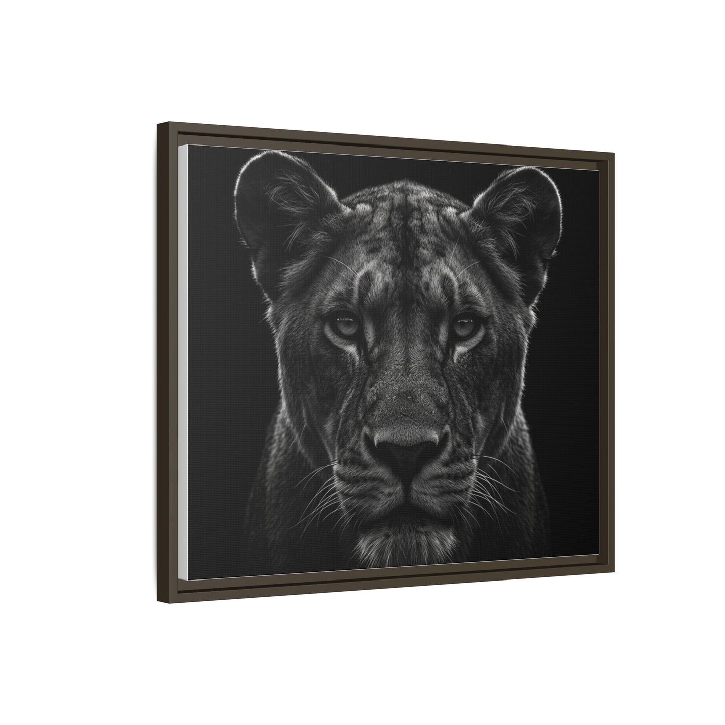 Framed Canvas Print — Lioness In Black