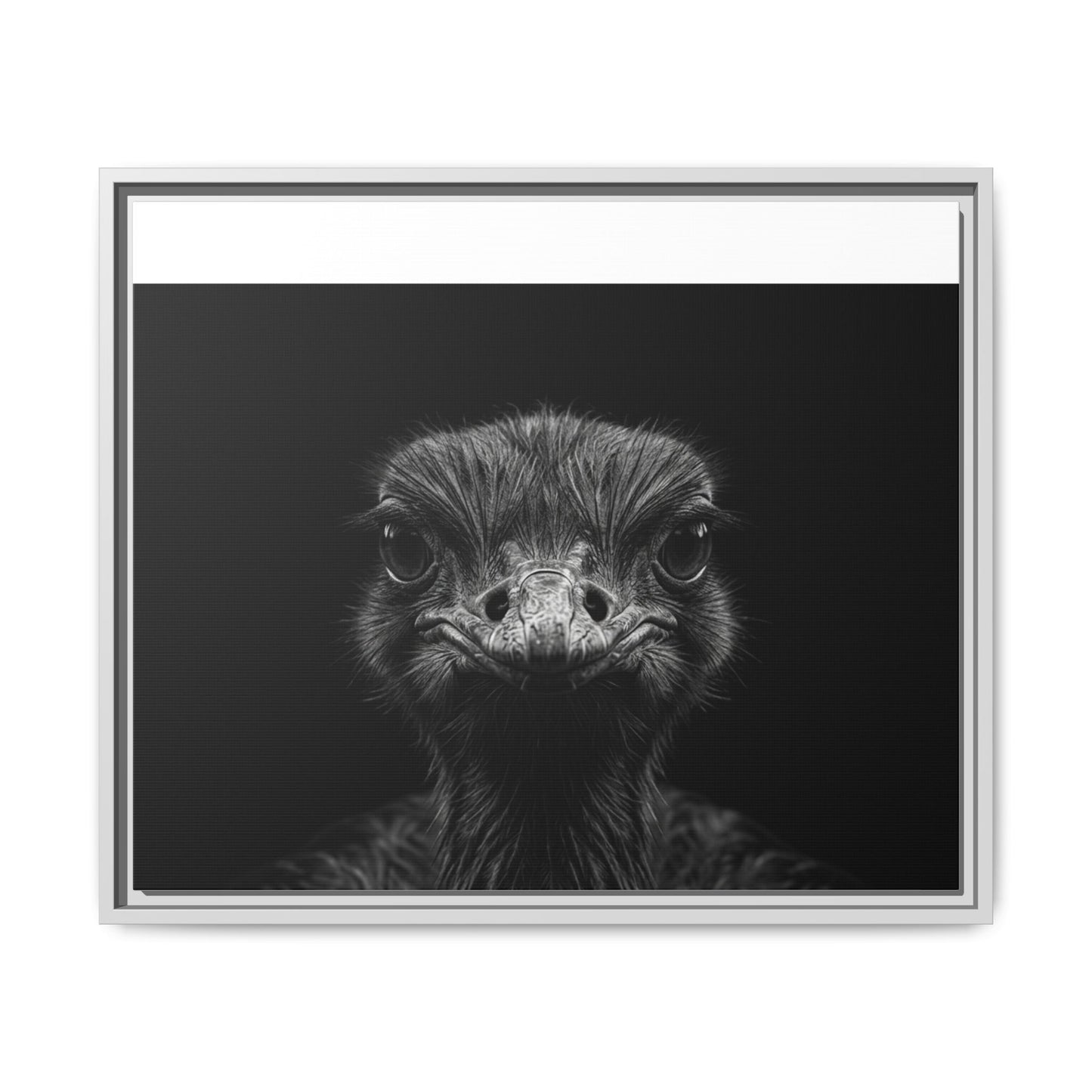 Framed Canvas Print — Ostrich In Black