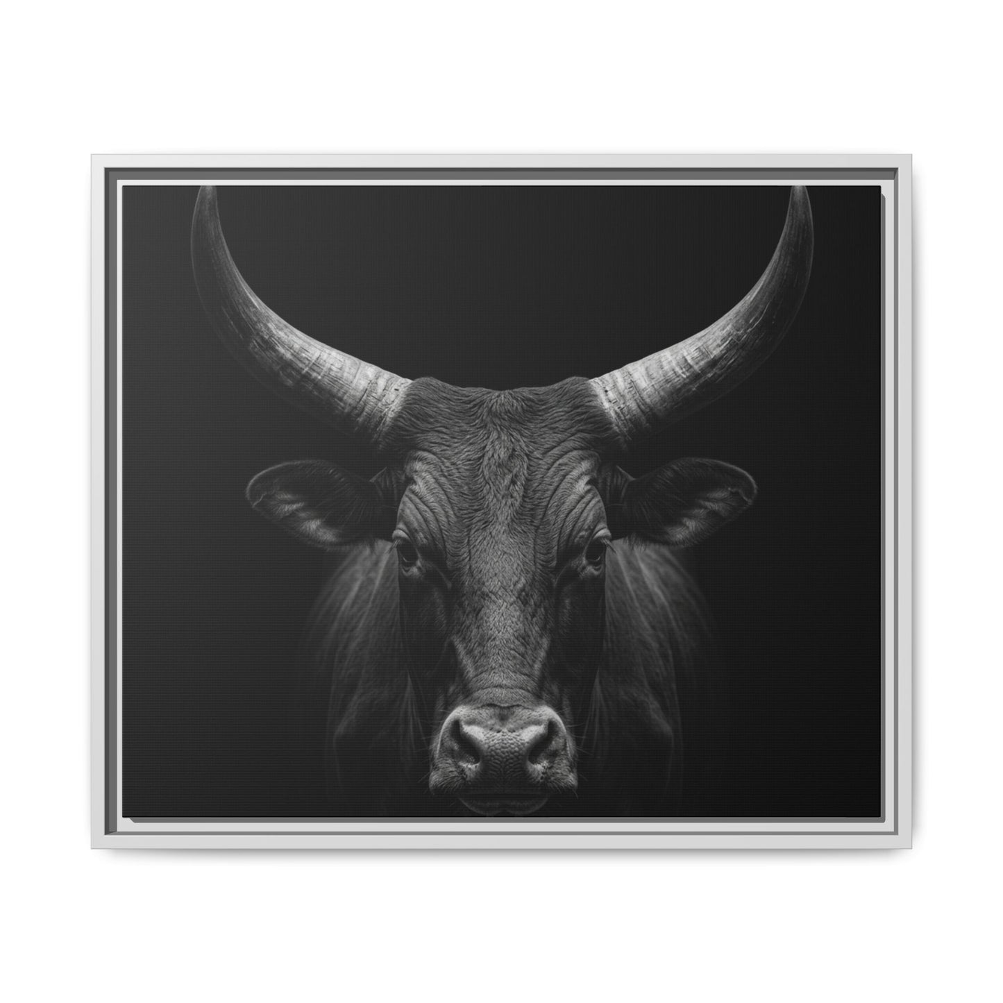 Framed Canvas Print — Ankole Cow In Black