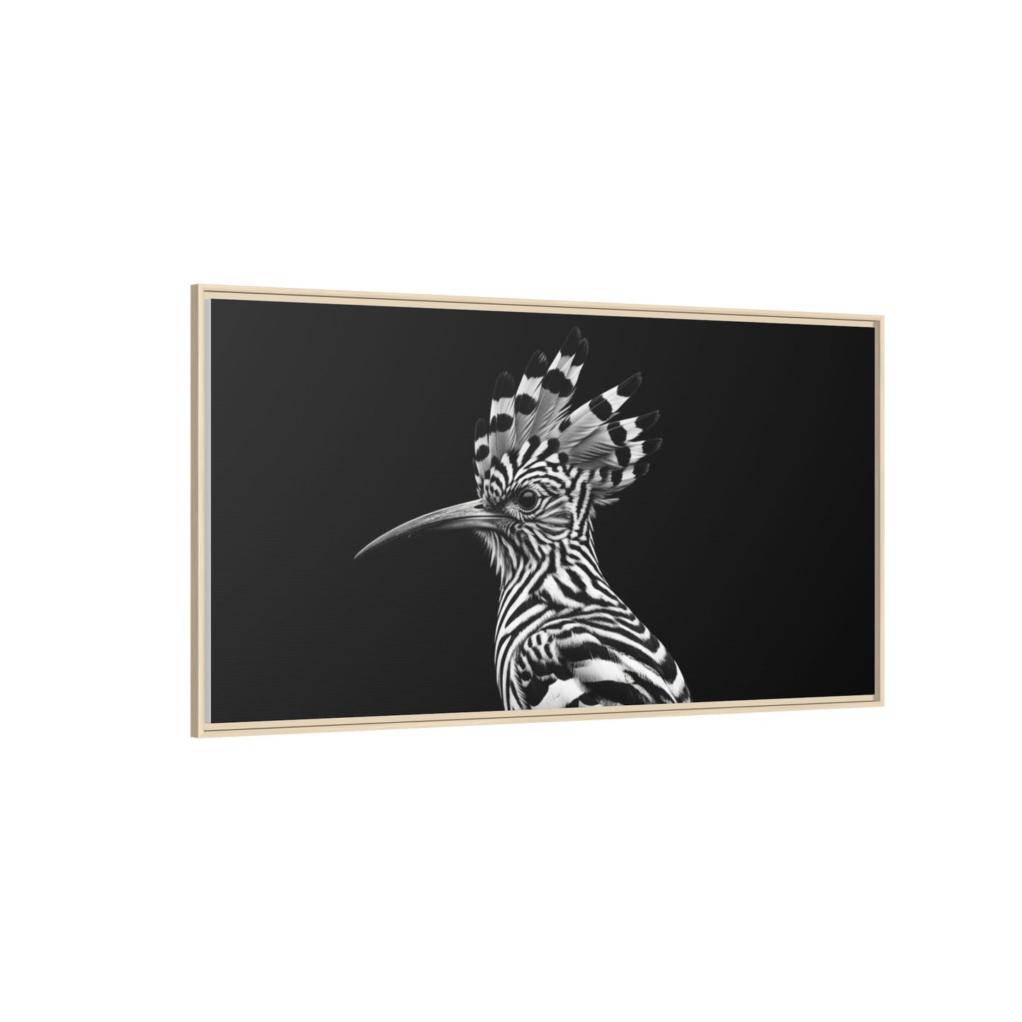 Framed Canvas Print — Afrikan Hoopoe In Black
