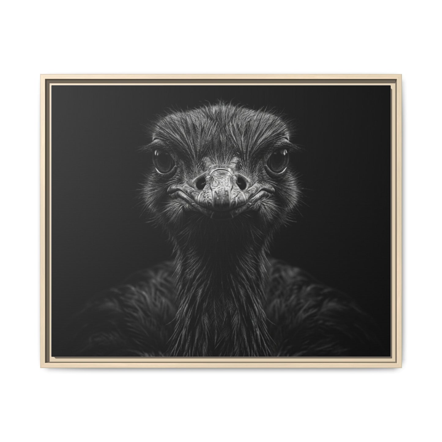 Framed Canvas Print — Ostrich In Black