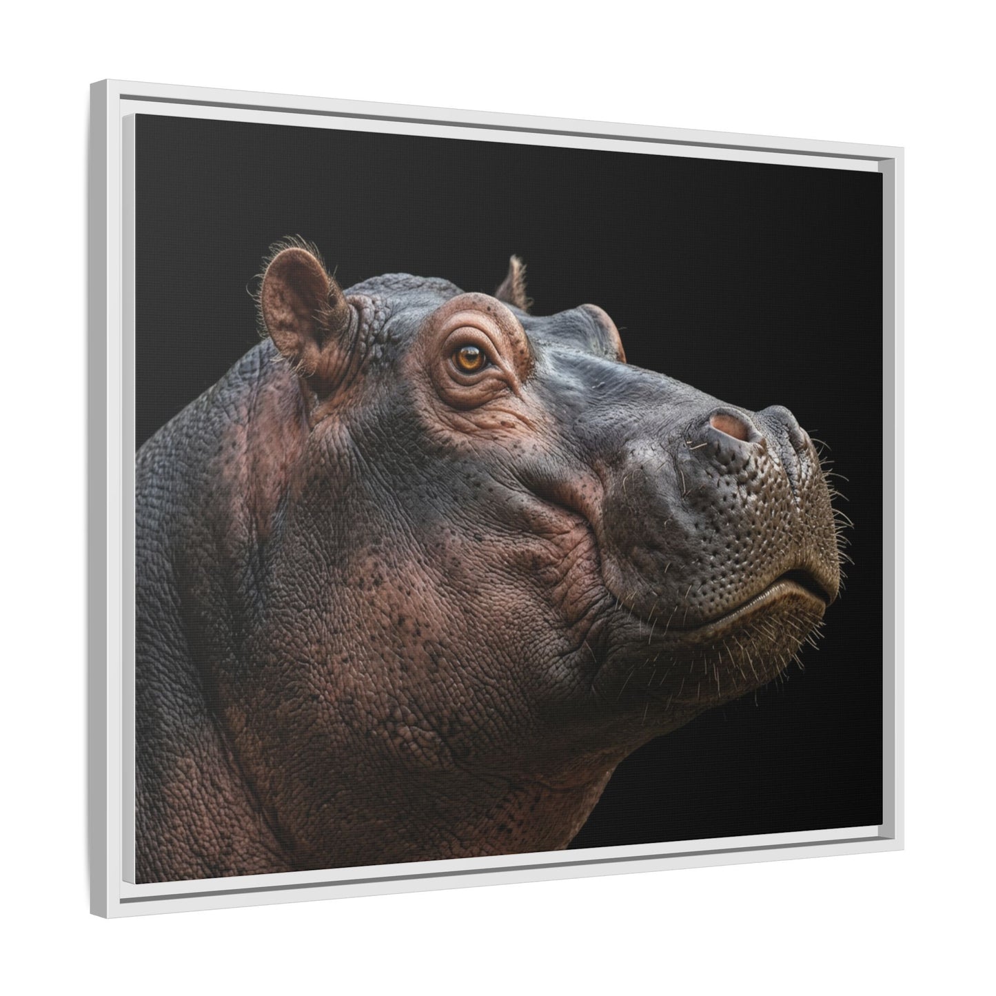Framed Canvas Print — Hippopotamos In Colour