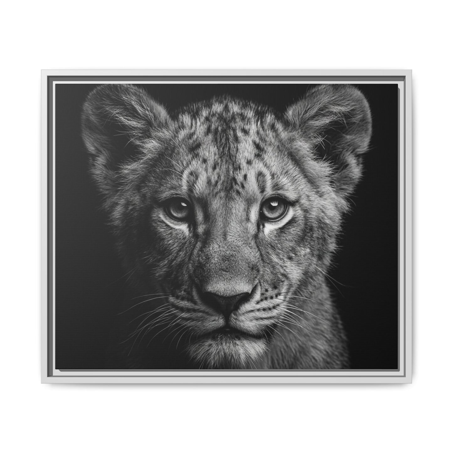 Framed Canvas Print — Lion Cub In Black