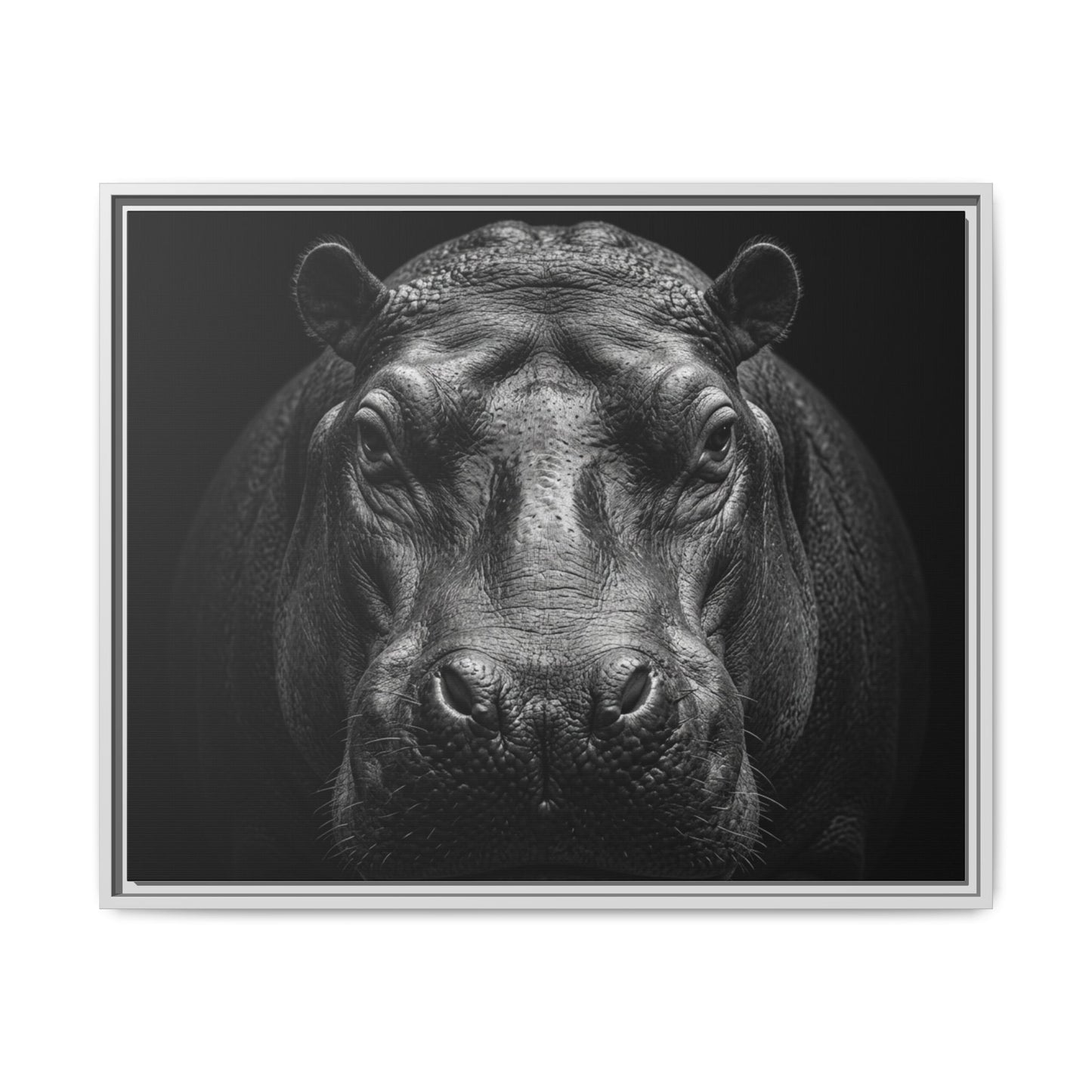 Framed Canvas Print — Hippopotamus In Black
