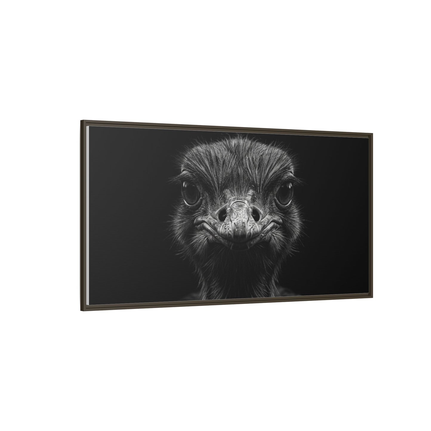 Framed Canvas Print — Ostrich In Black