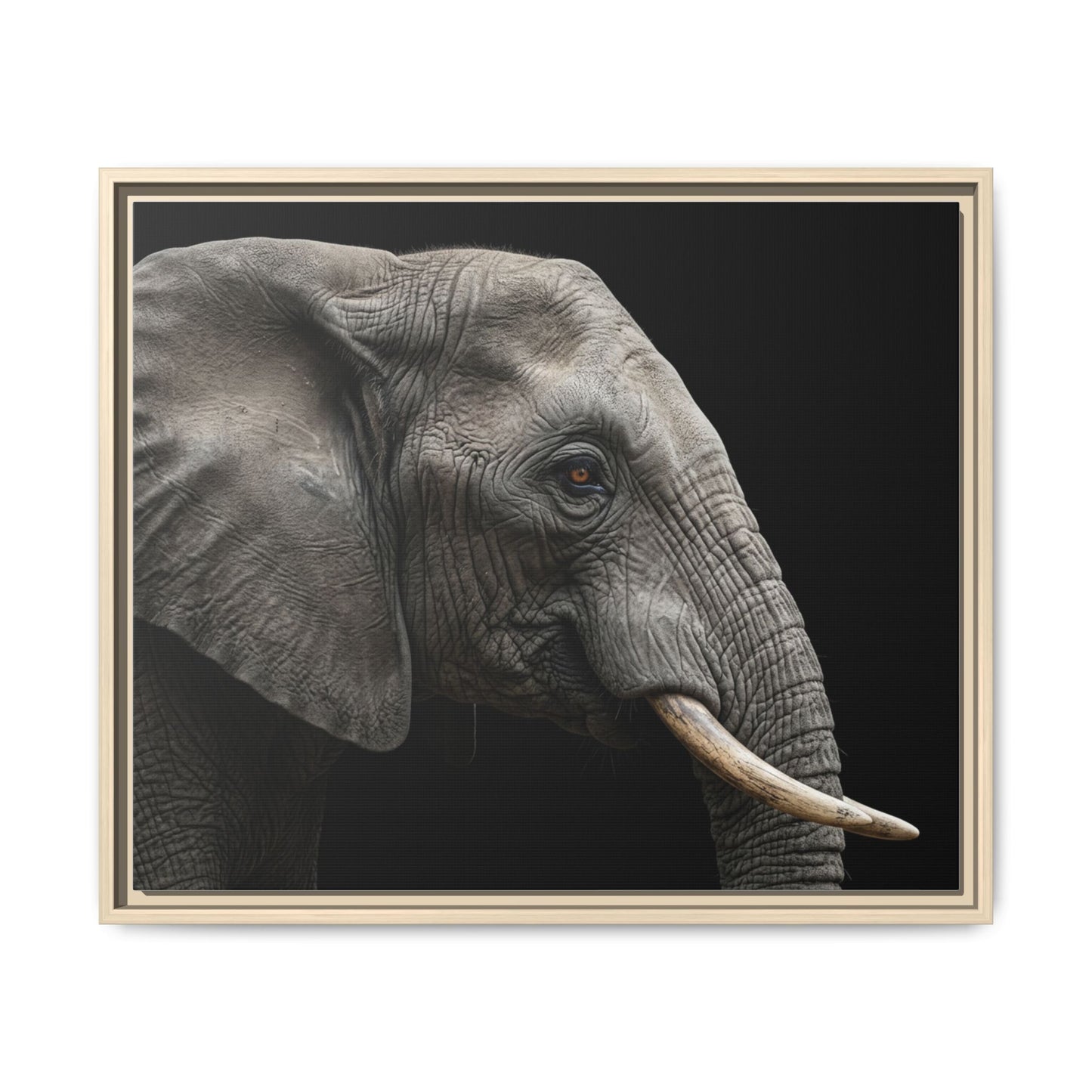Framed Canvas Print — Elephant In Colour