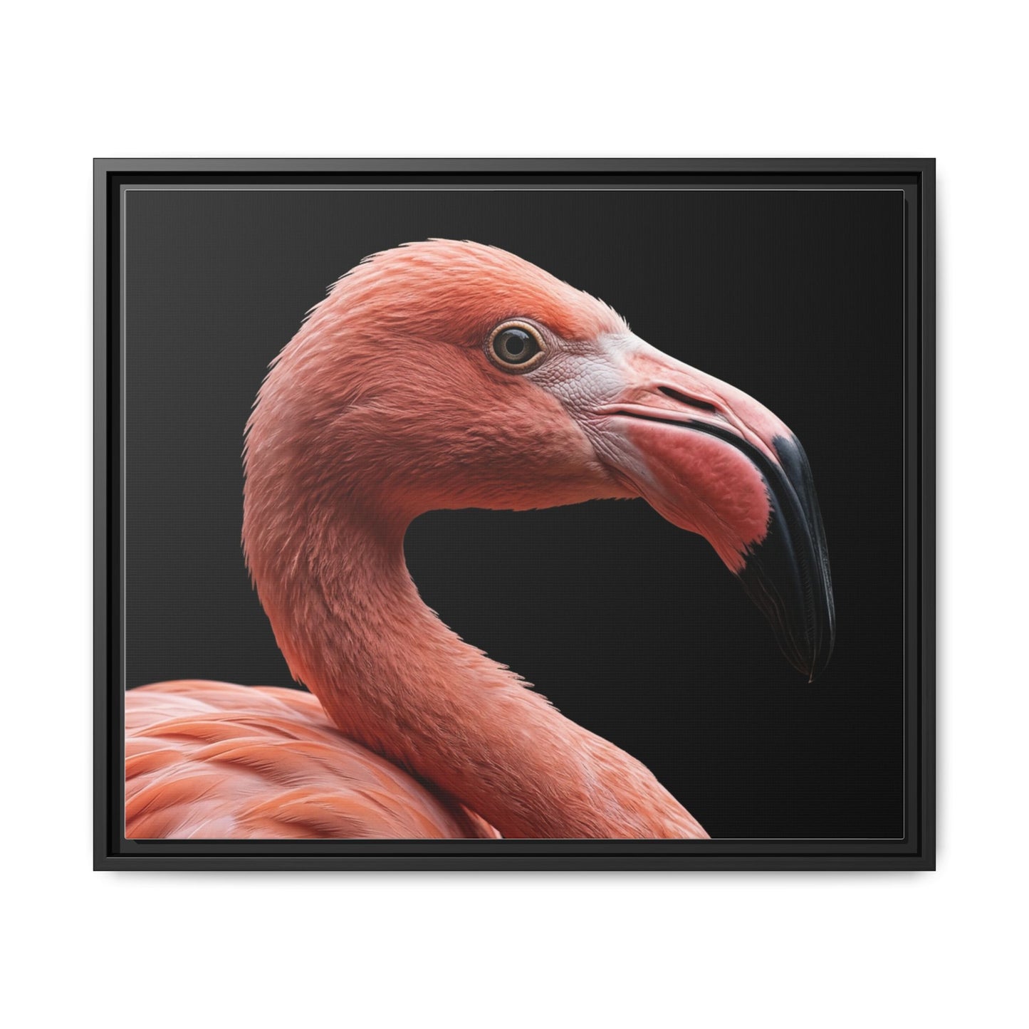Framed Canvas Print — Flamingo In Colour