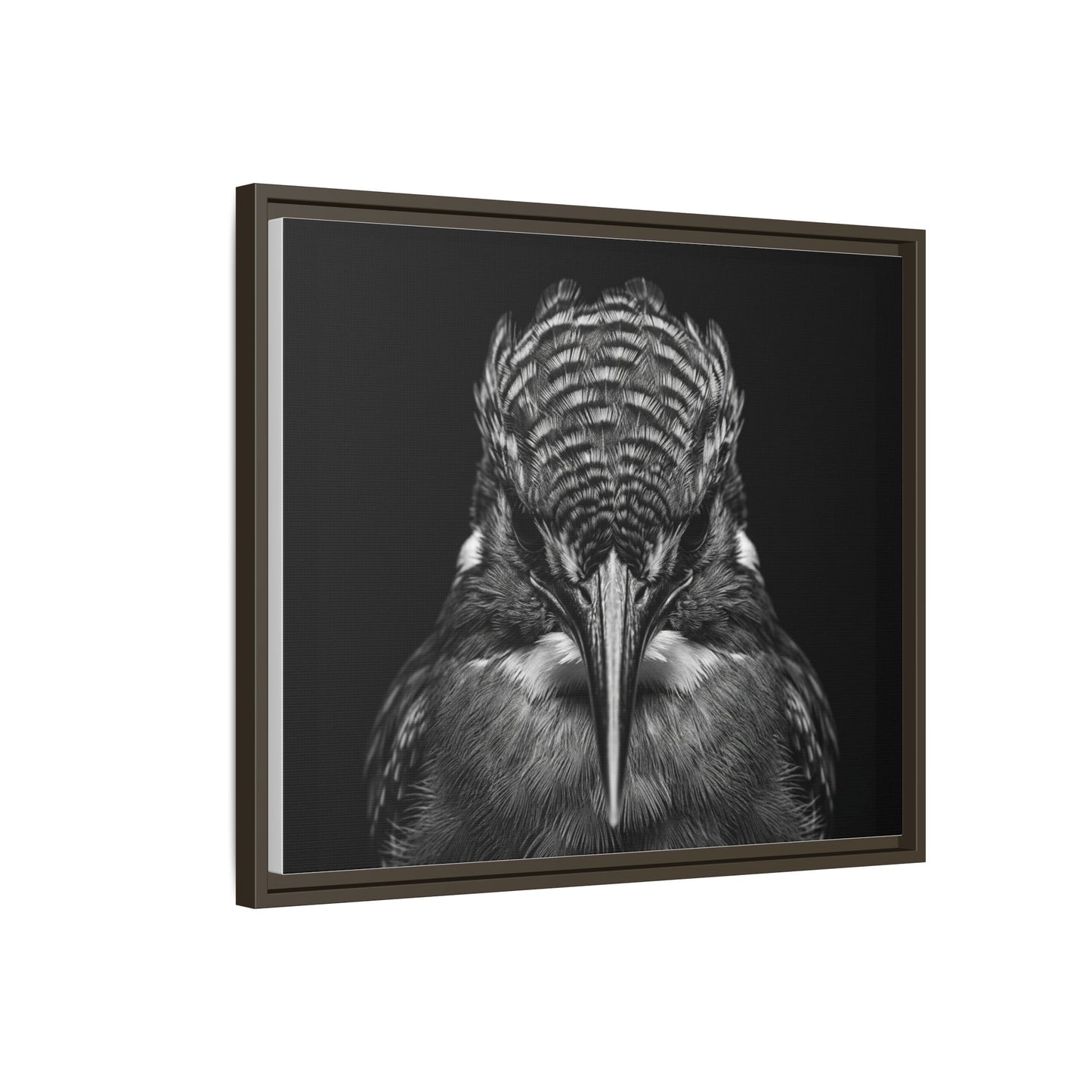 Framed Canvas Print — Malachite Kingfisher In Black