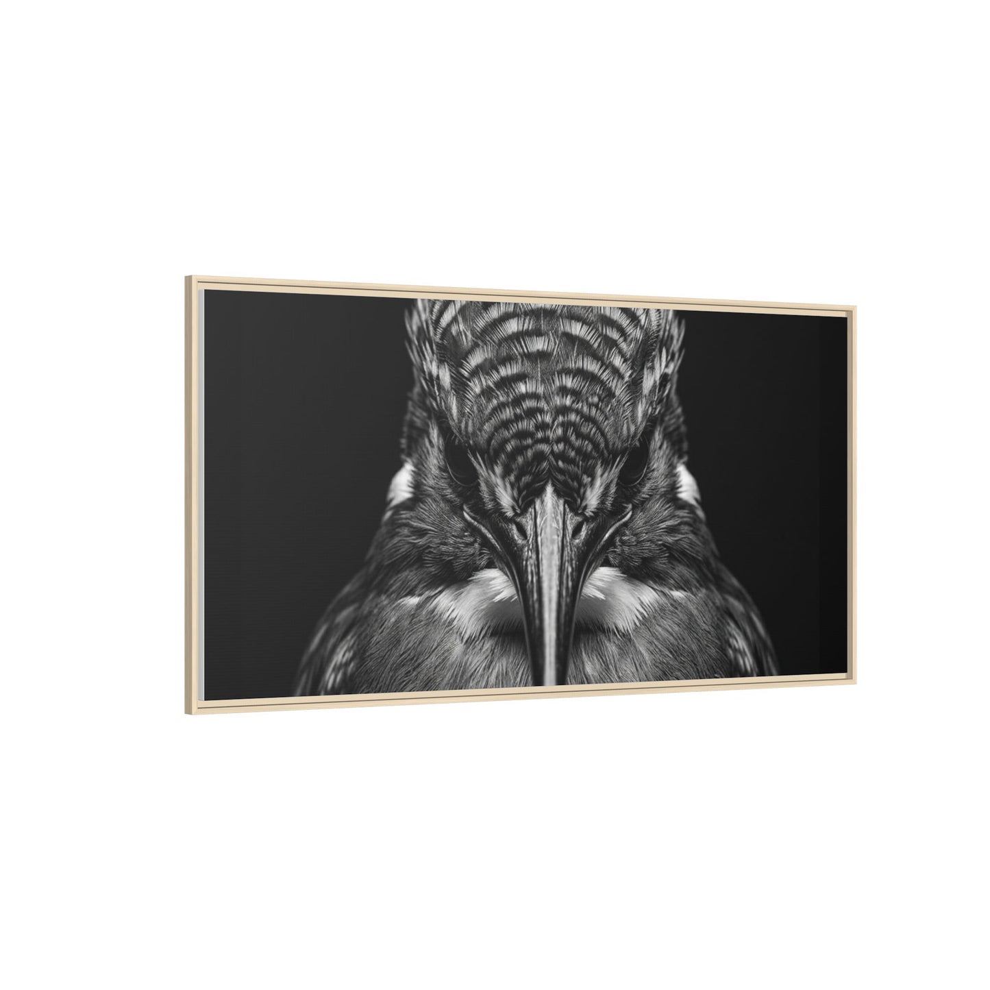 Framed Canvas Print — Malachite Kingfisher In Black