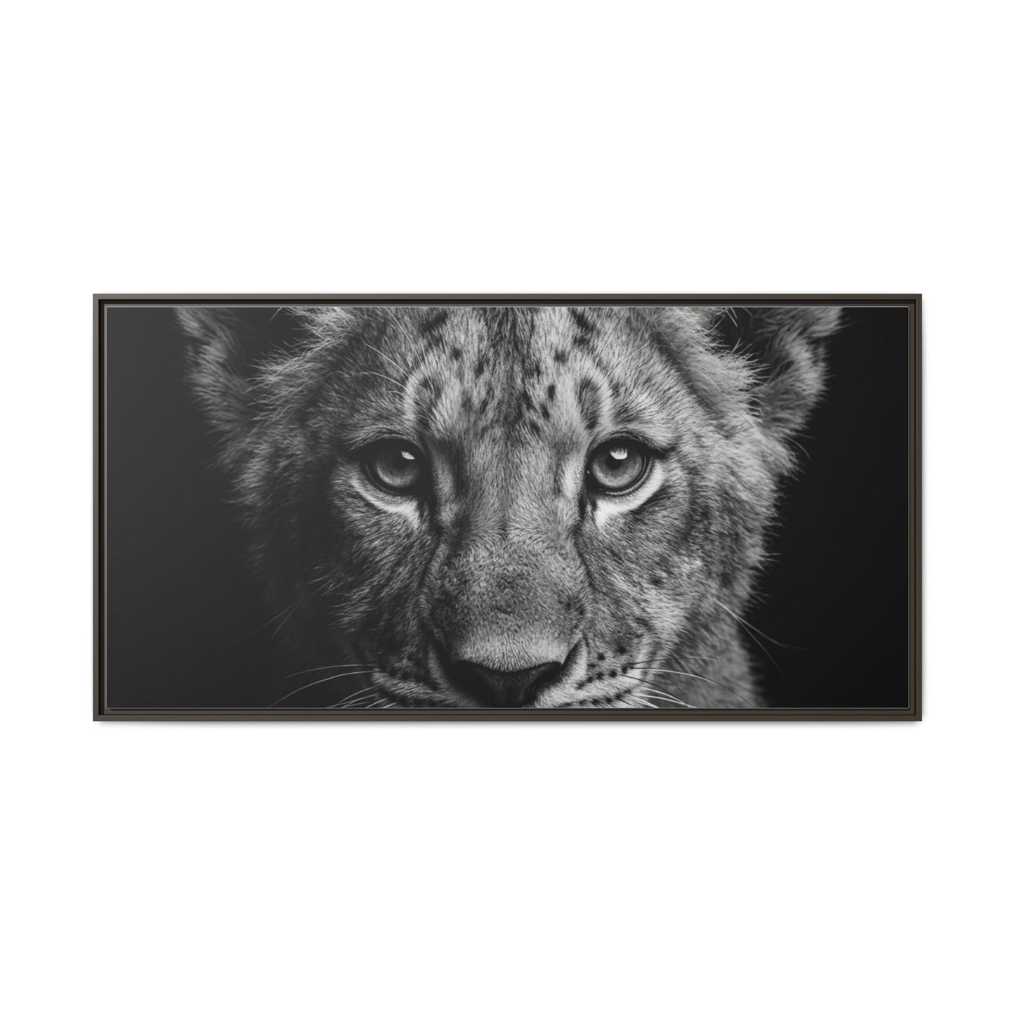Framed Canvas Print — Lion Cub In Black