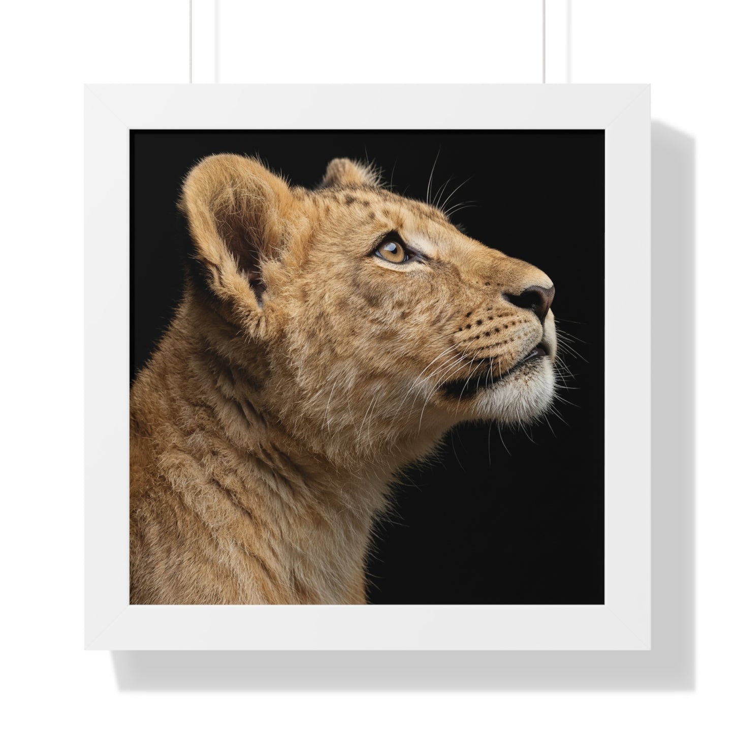 Framed Art Print – Lion Cub In Colour