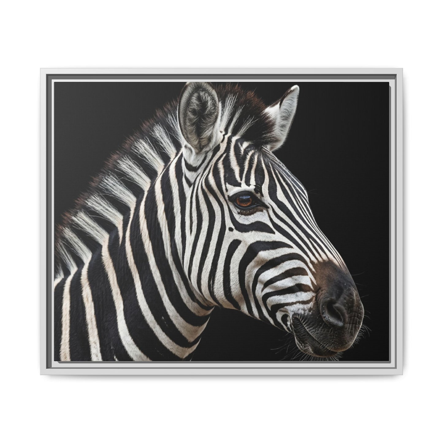 Framed Canvas Print — Zebra In Colour