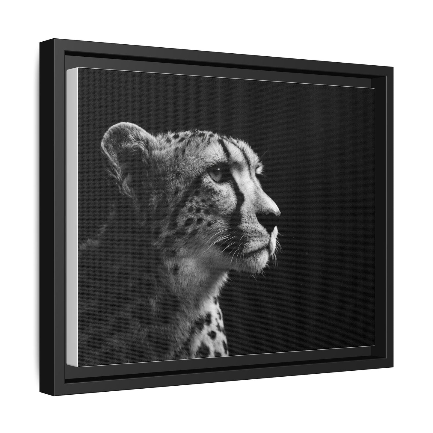 Framed Canvas Print — Cheetah Gaze