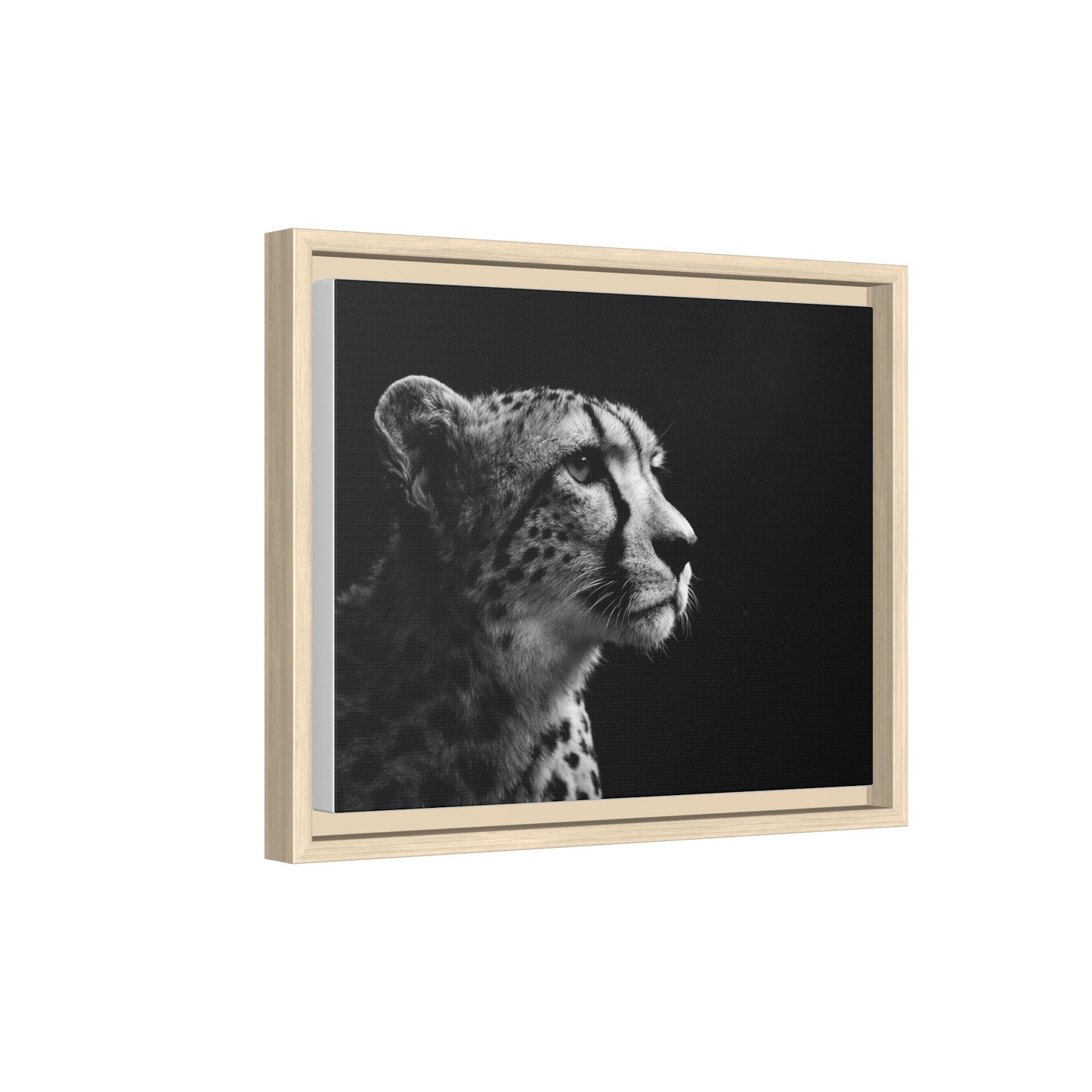 Framed Canvas Print — Cheetah Gaze