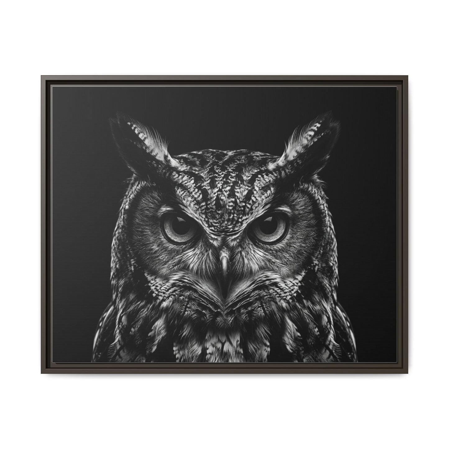 Framed Canvas Print — Scops Owl In Black