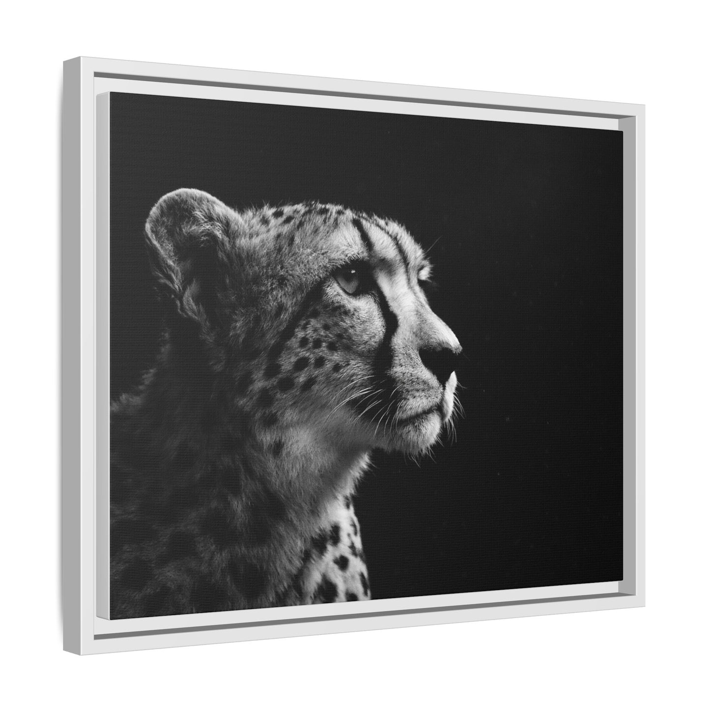 Framed Canvas Print — Cheetah Gaze