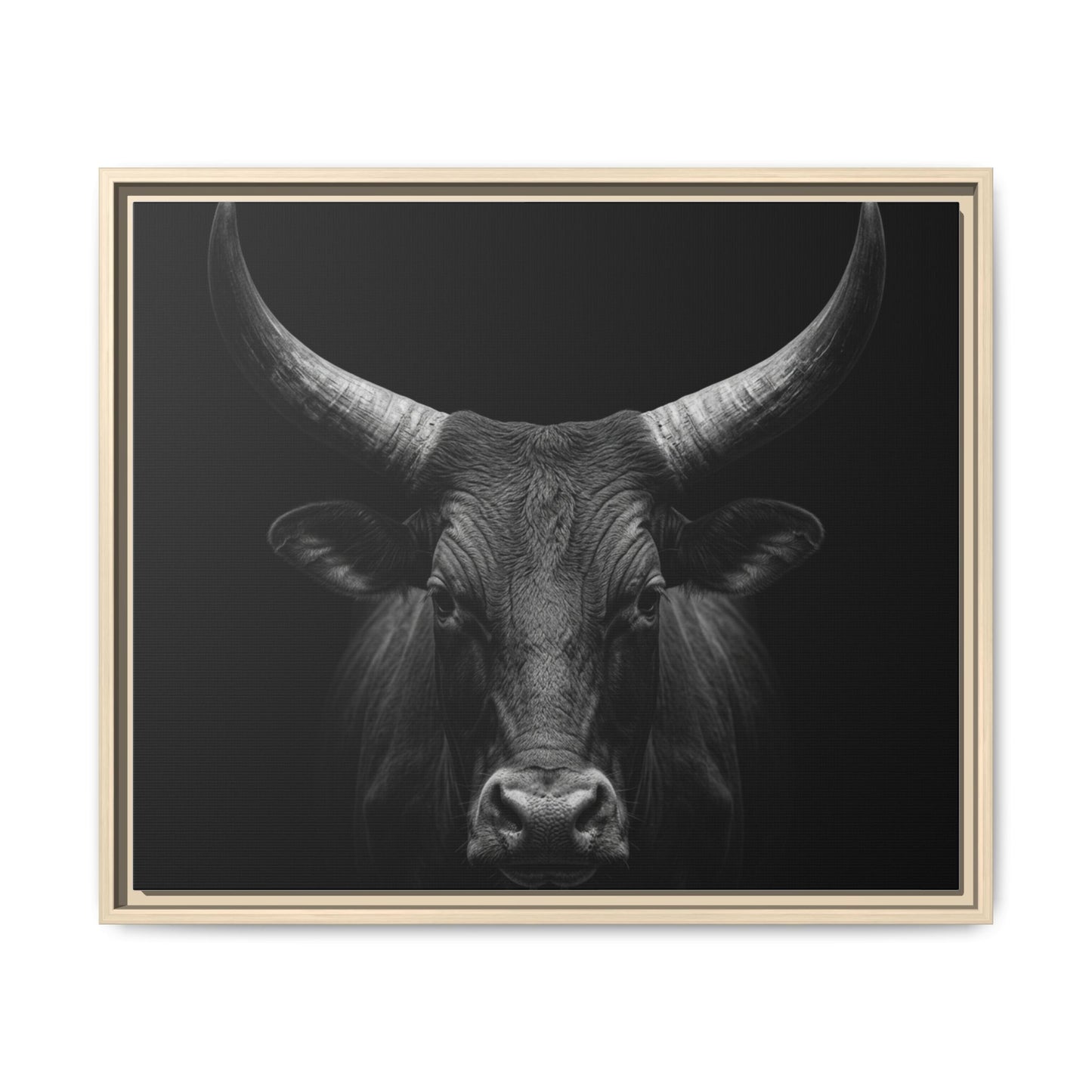 Framed Canvas Print — Ankole Cow In Black