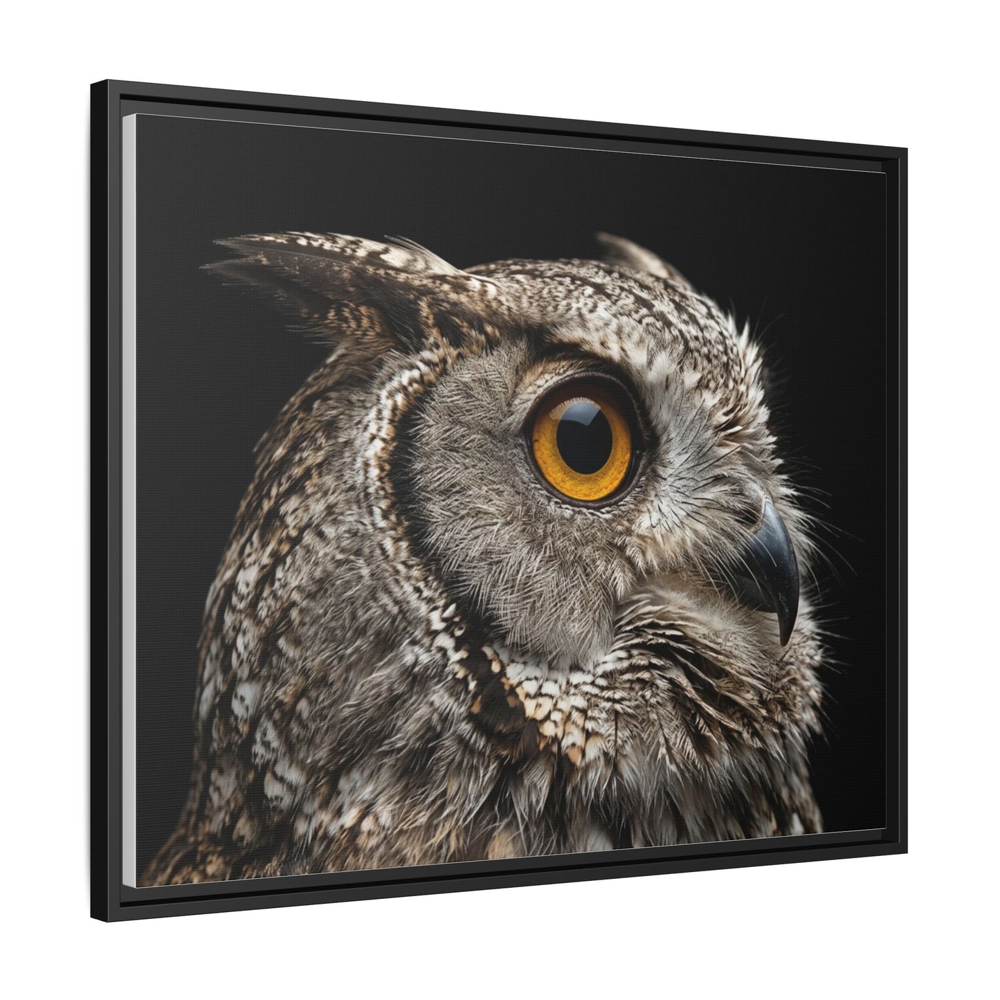 Framed Canvas Print — Scops Owl In Colour