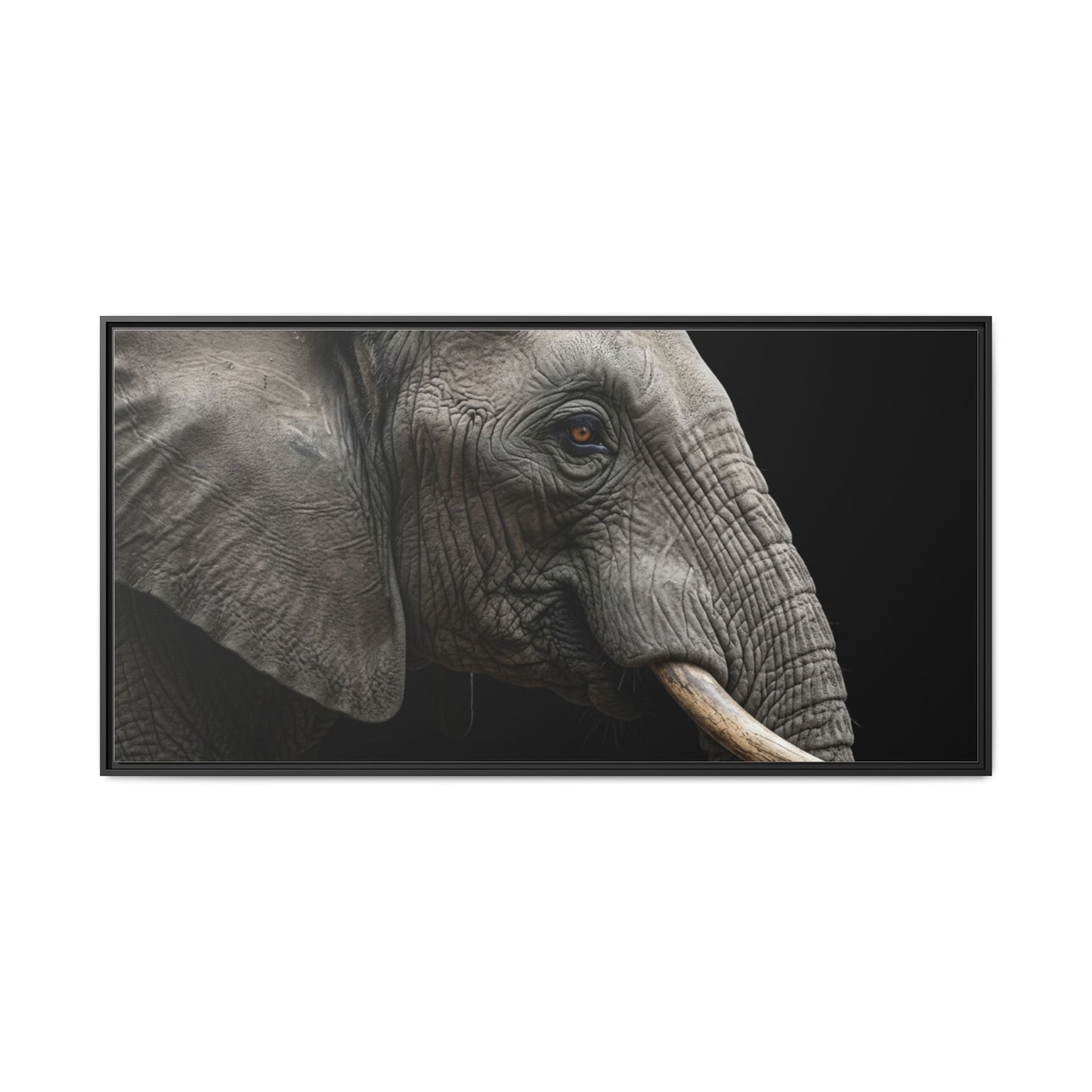 Framed Canvas Print — Elephant In Colour