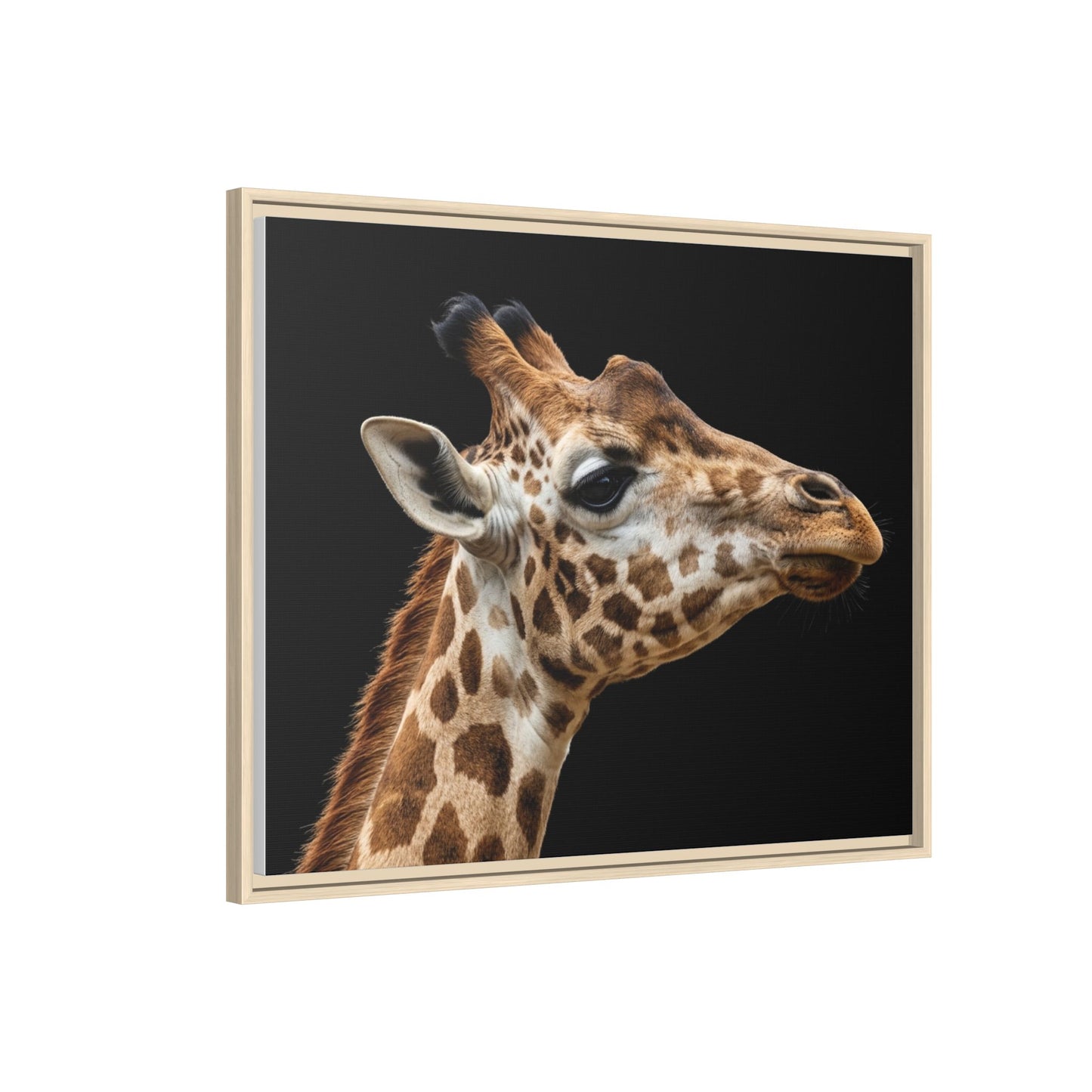 Framed Canvas Print — Giraffe In Colour