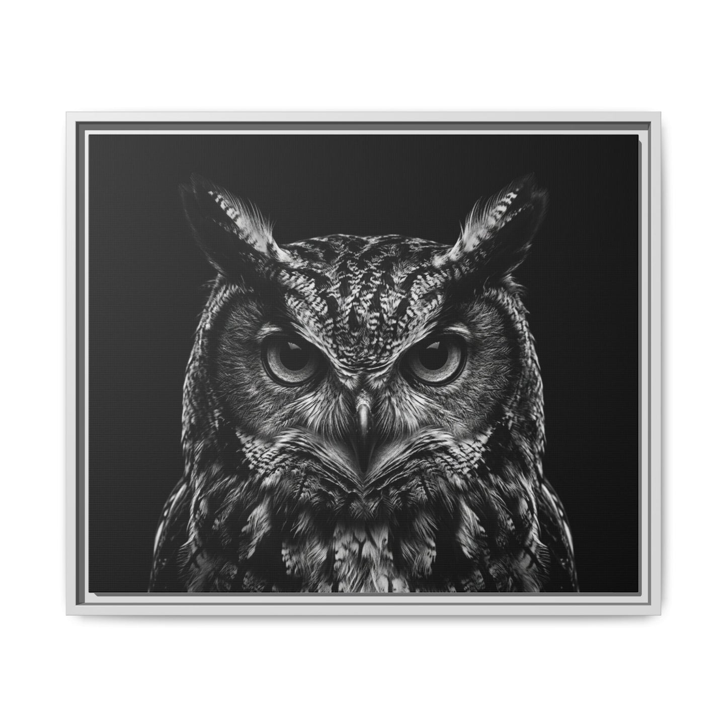 Framed Canvas Print — Scops Owl In Black