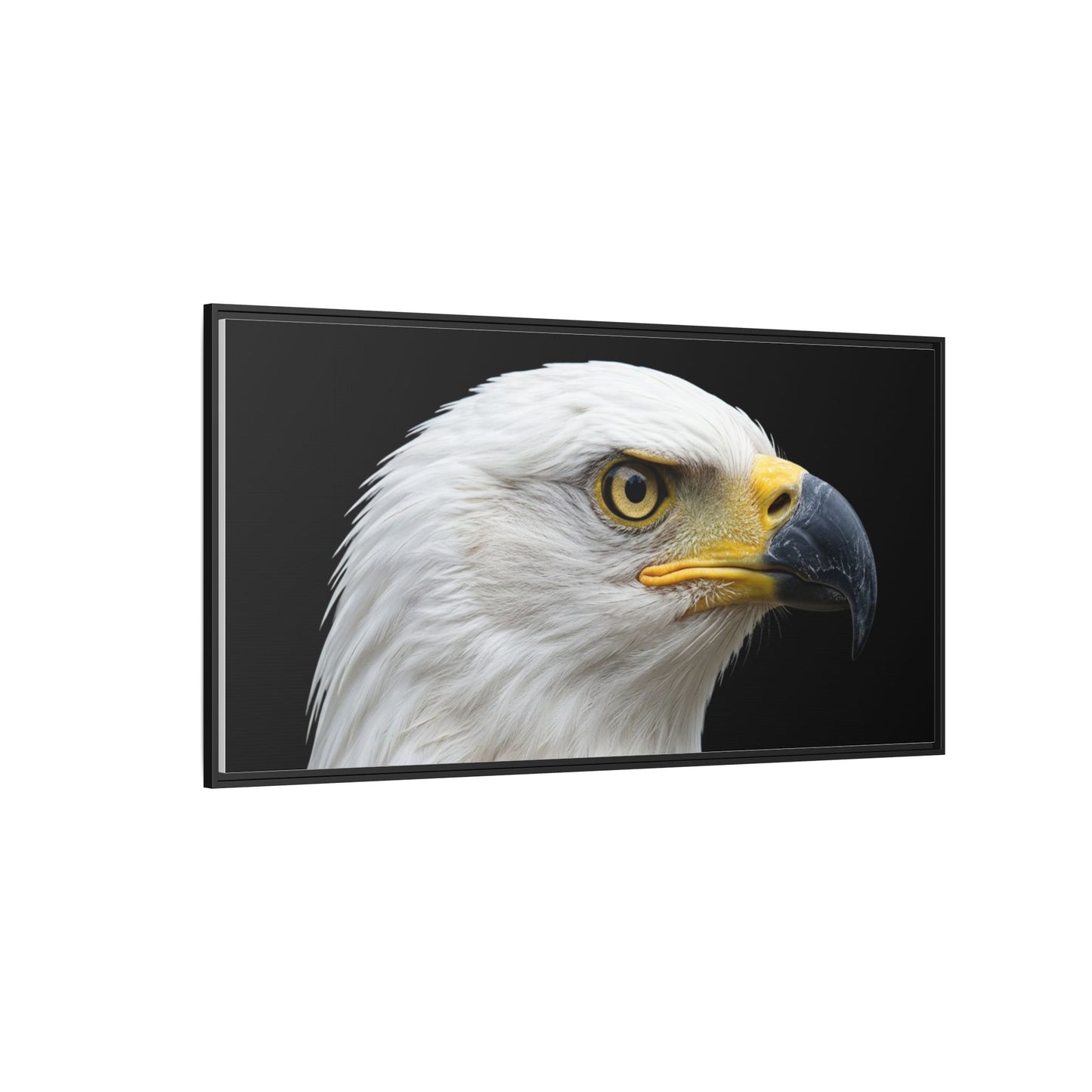 Framed Canvas Print — Fish Eagle In Colour