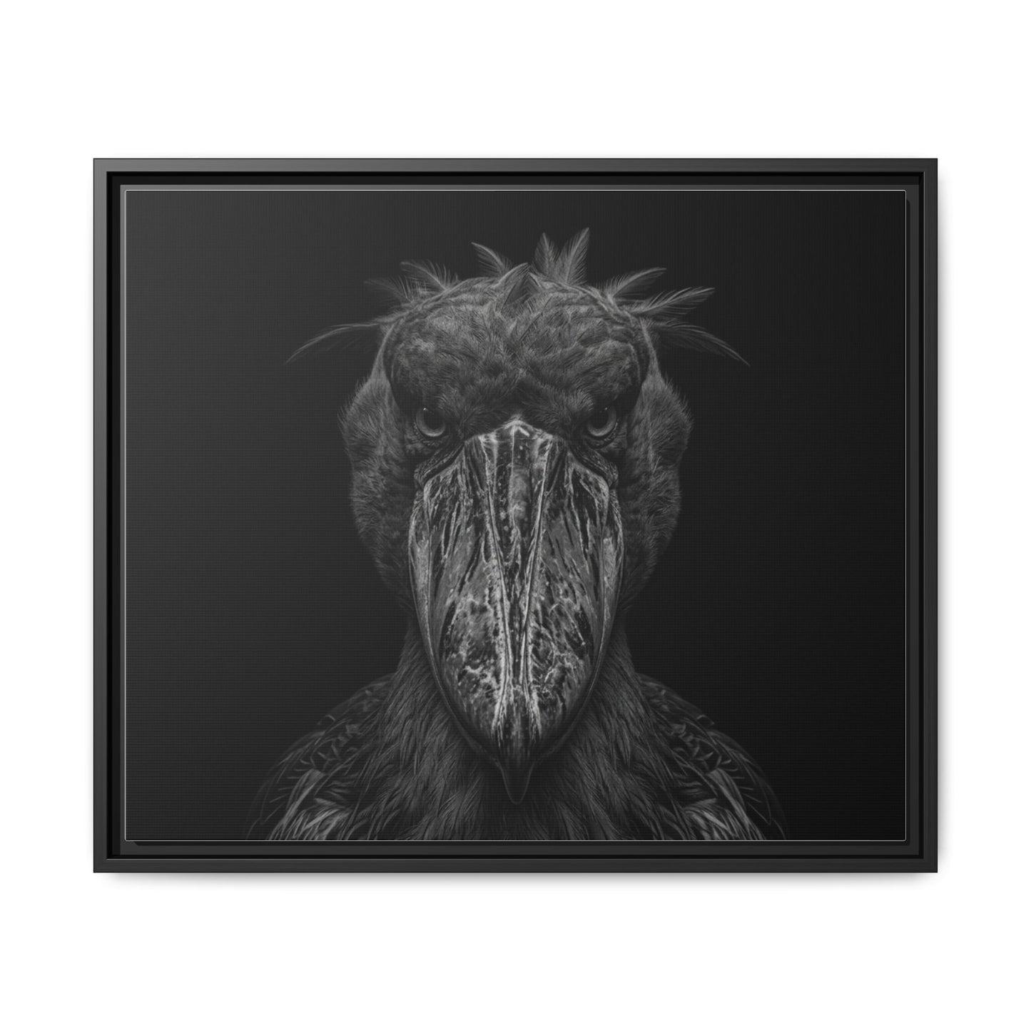 Framed Canvas Print — Shoebill Stock In Black