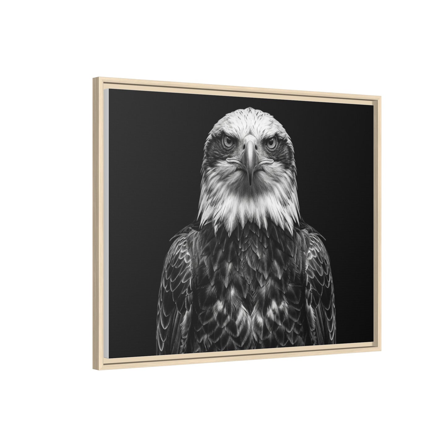 Framed Canvas Print — Fish Eagle In Black