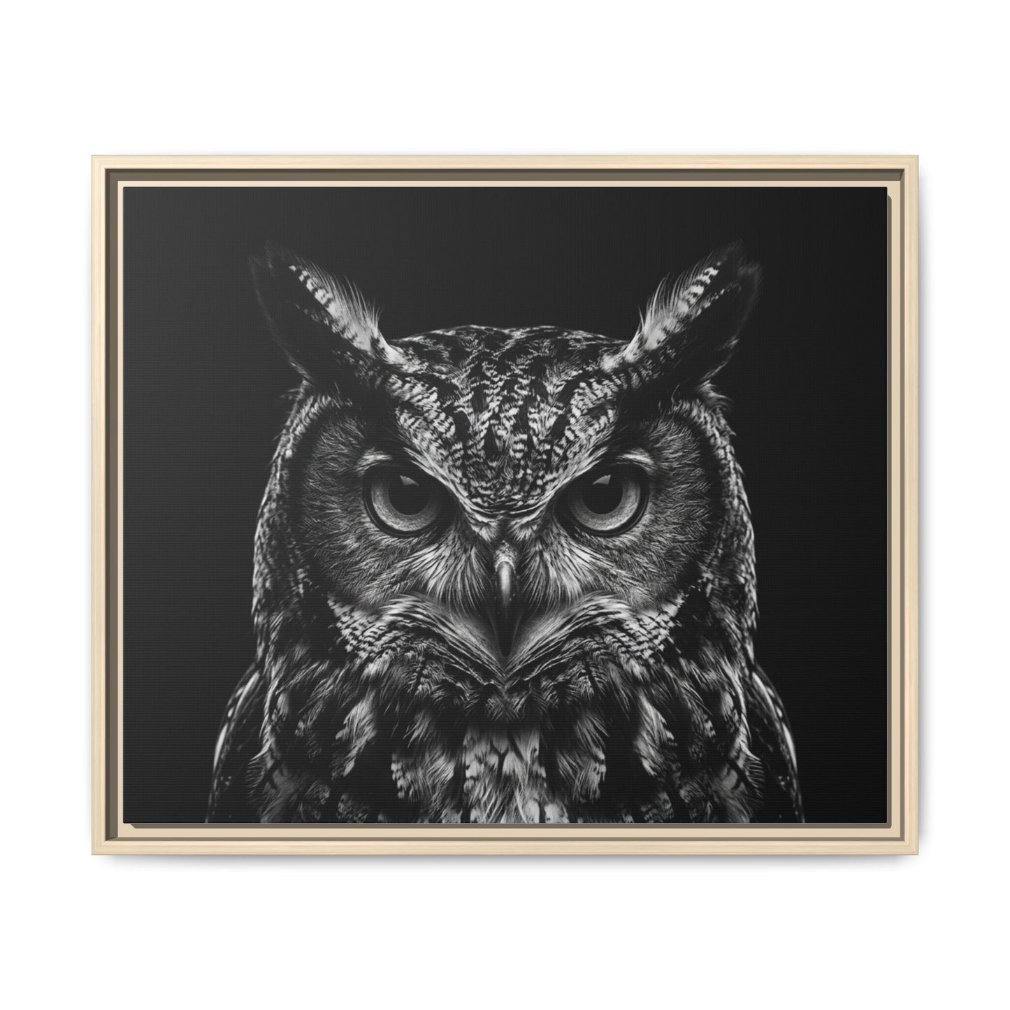 Framed Canvas Print — Scops Owl In Black