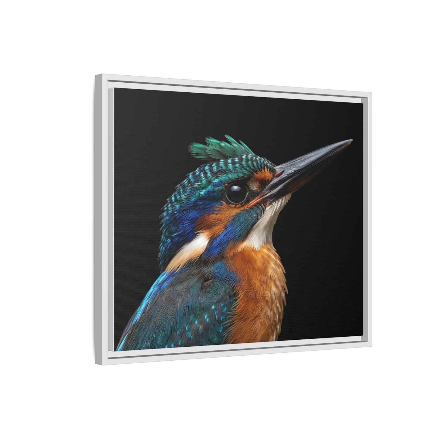 Framed Canvas Print — Malachite Kingfisher In Colour