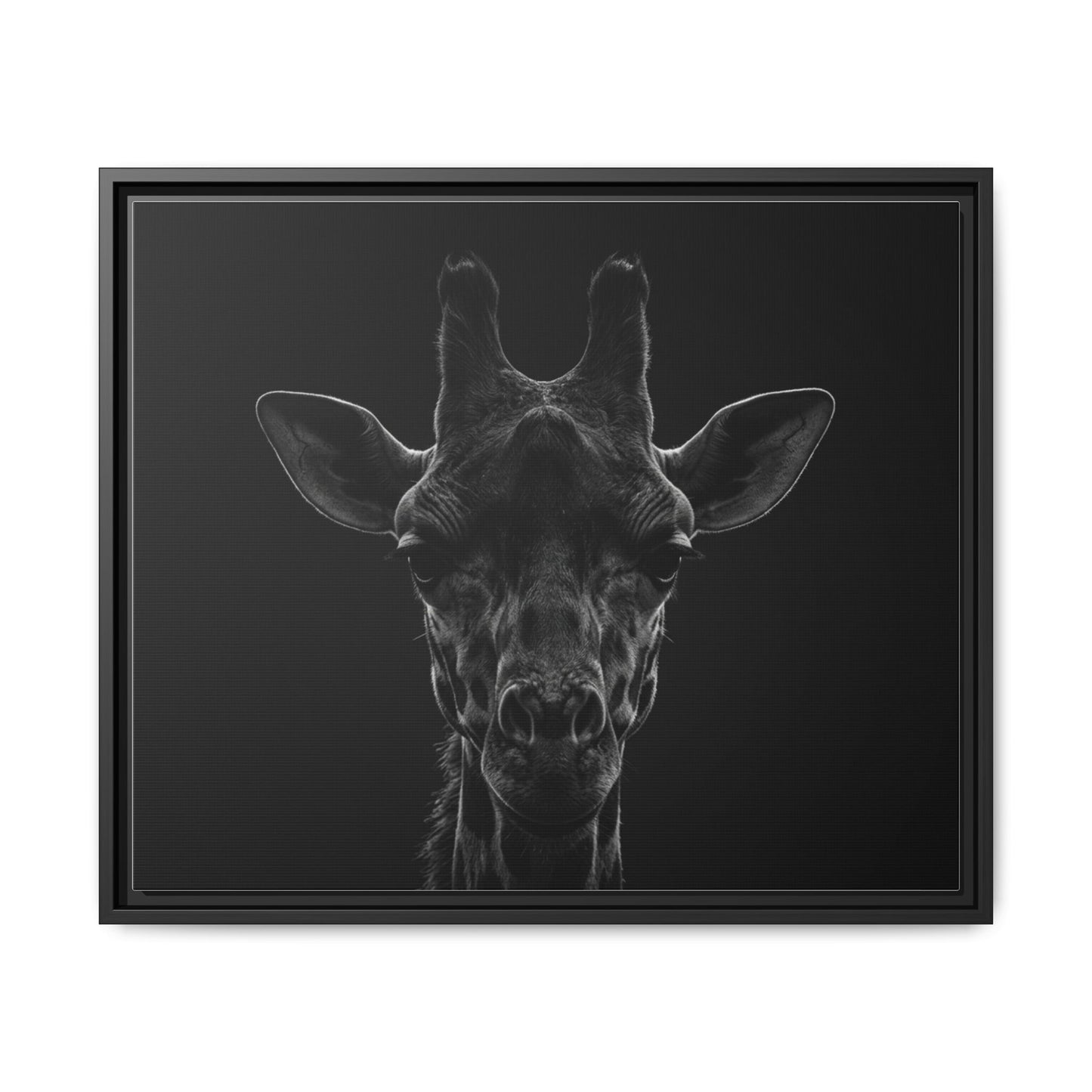 Framed Canvas Print — Giraffe In Black