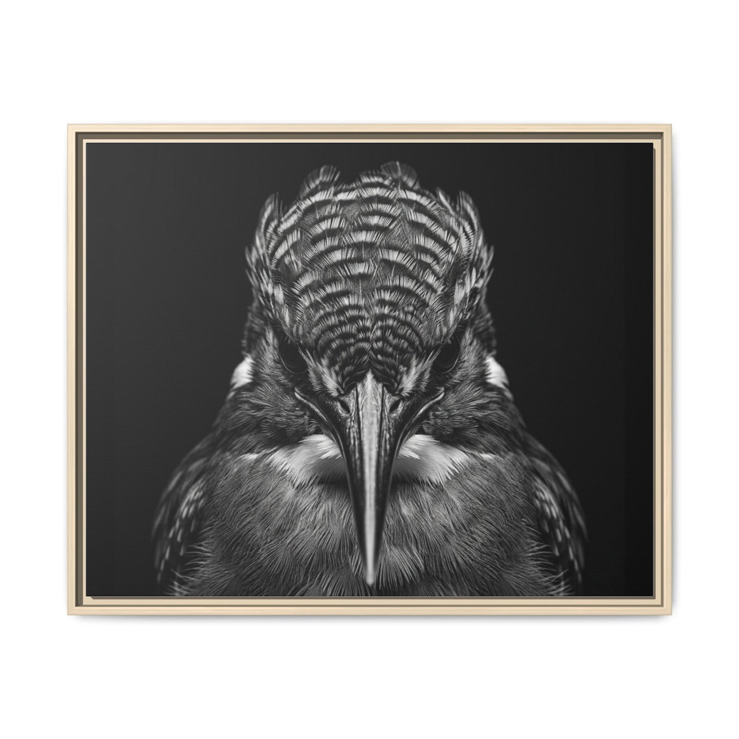 Framed Canvas Print — Malachite Kingfisher In Black
