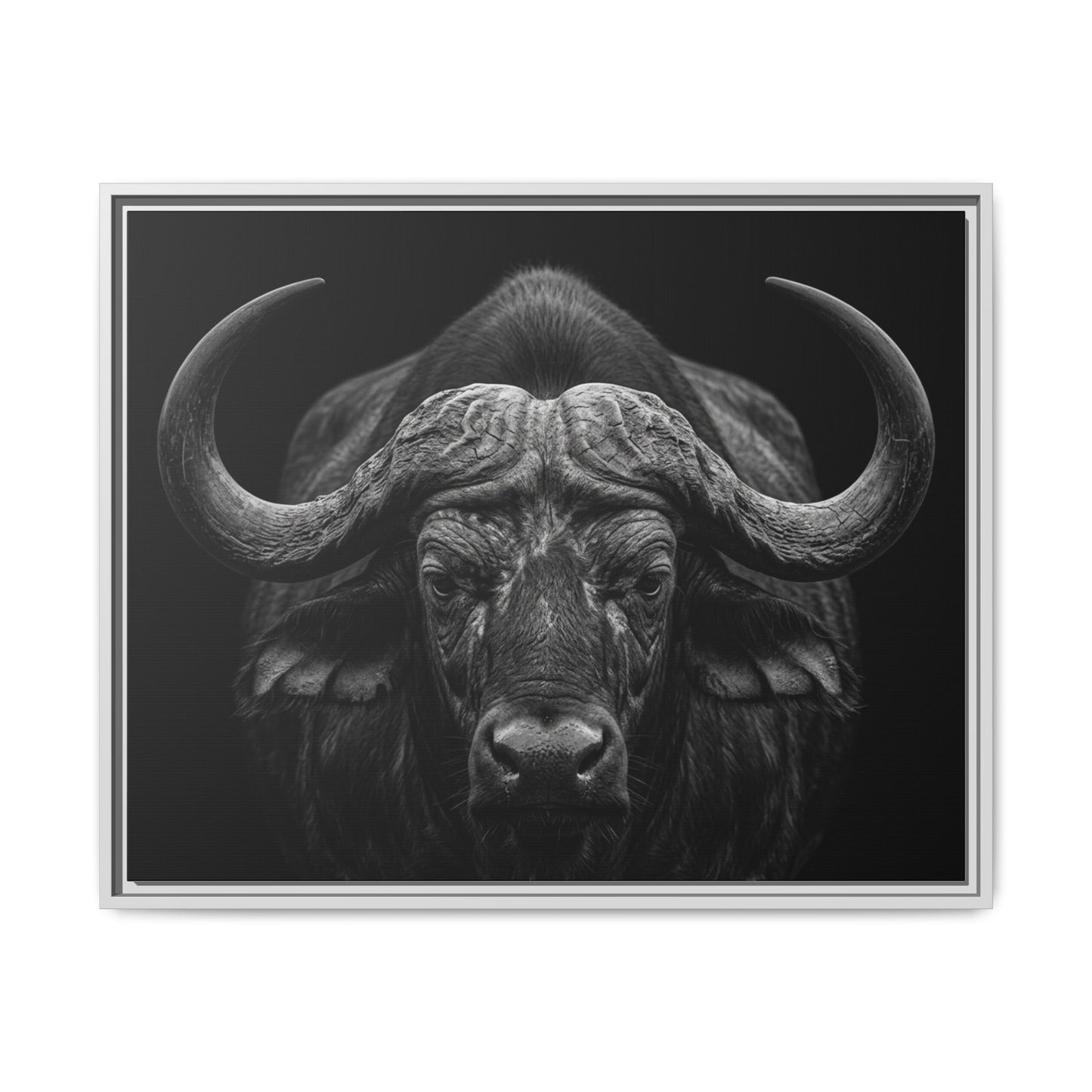 Framed Canvas Print — Cape Buffalo In Black