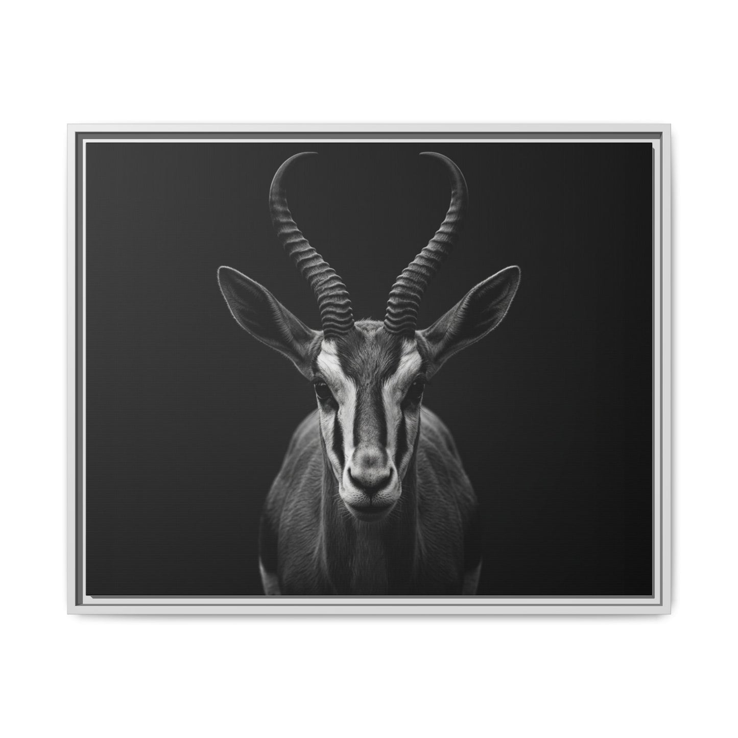 Framed Canvas Print — Springbok In Black