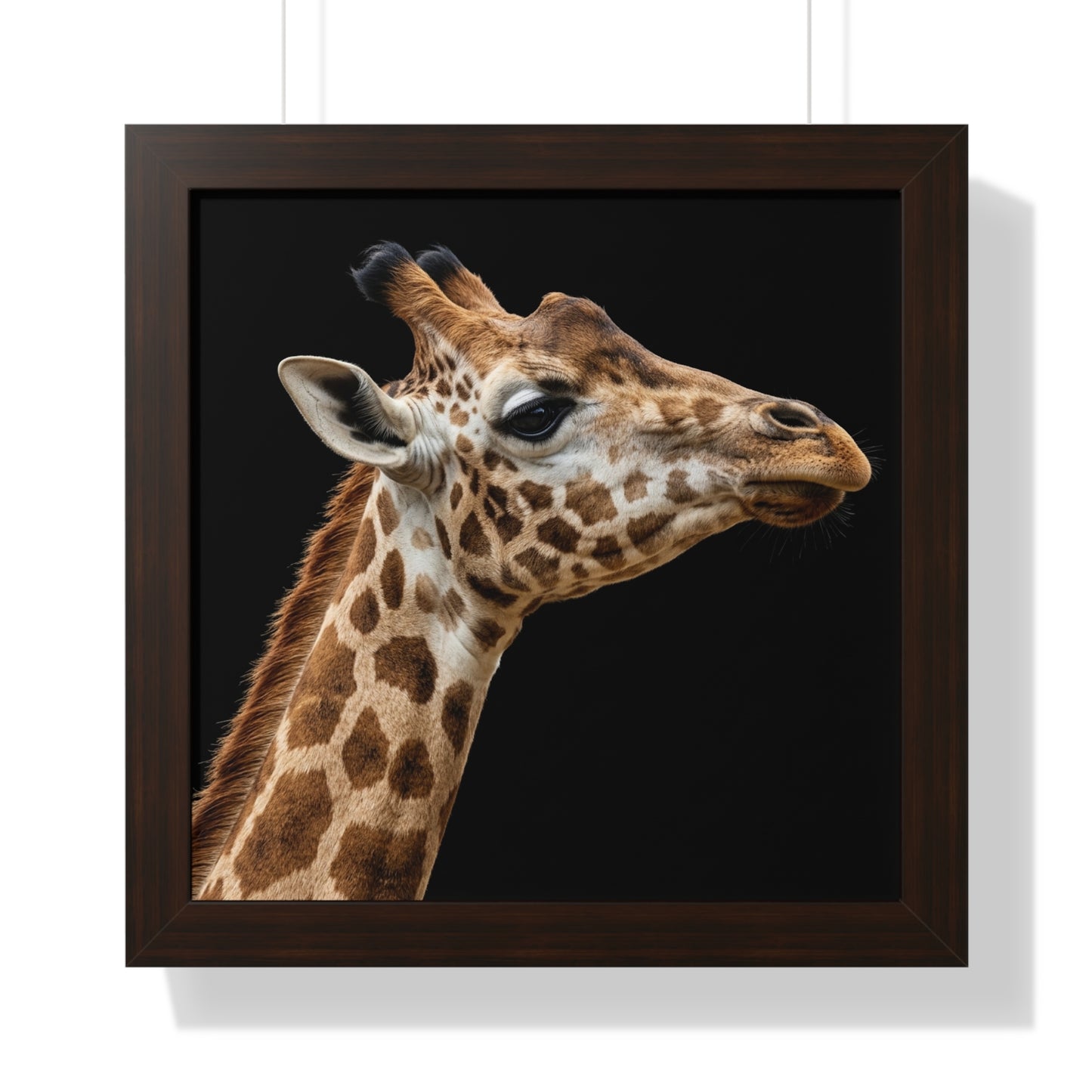 Framed Art Print – Giraffe In Colour
