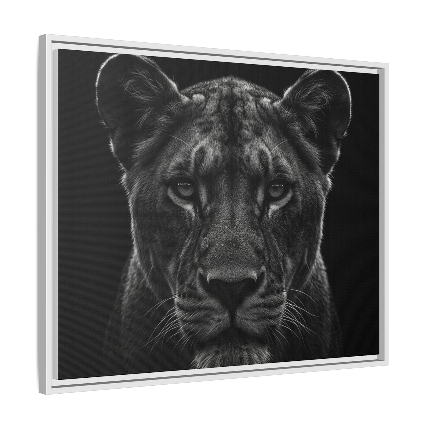 Framed Canvas Print — Lioness In Black