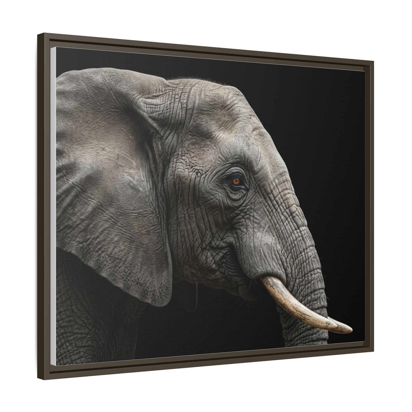 Framed Canvas Print — Elephant In Colour