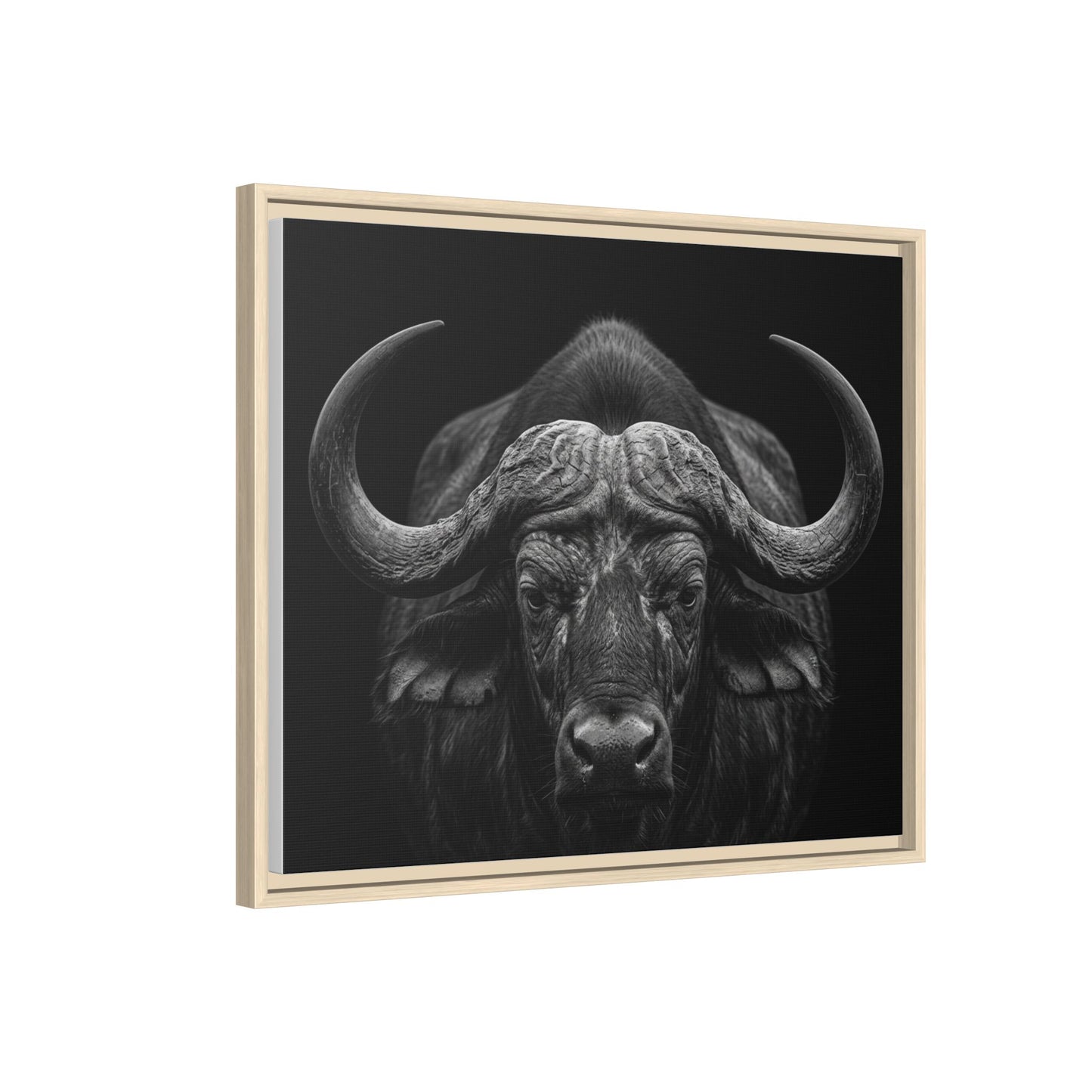 Framed Canvas Print — Cape Buffalo In Black