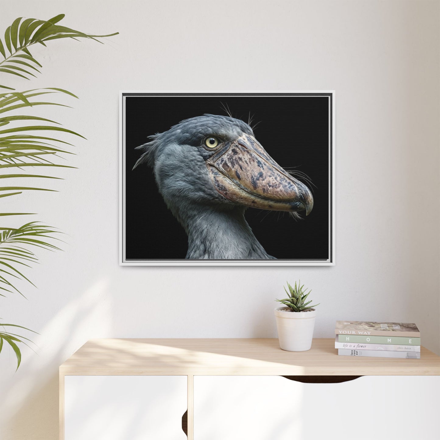 Framed Canvas Print — Shoebill Stork In Colour