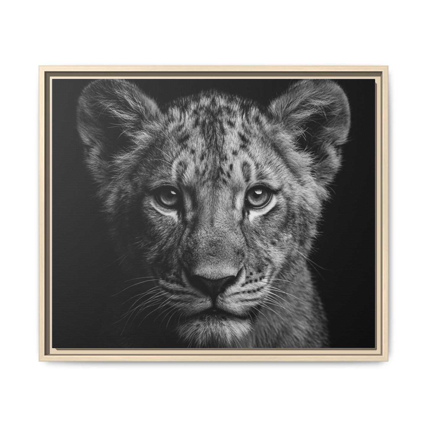 Framed Canvas Print — Lion Cub In Black