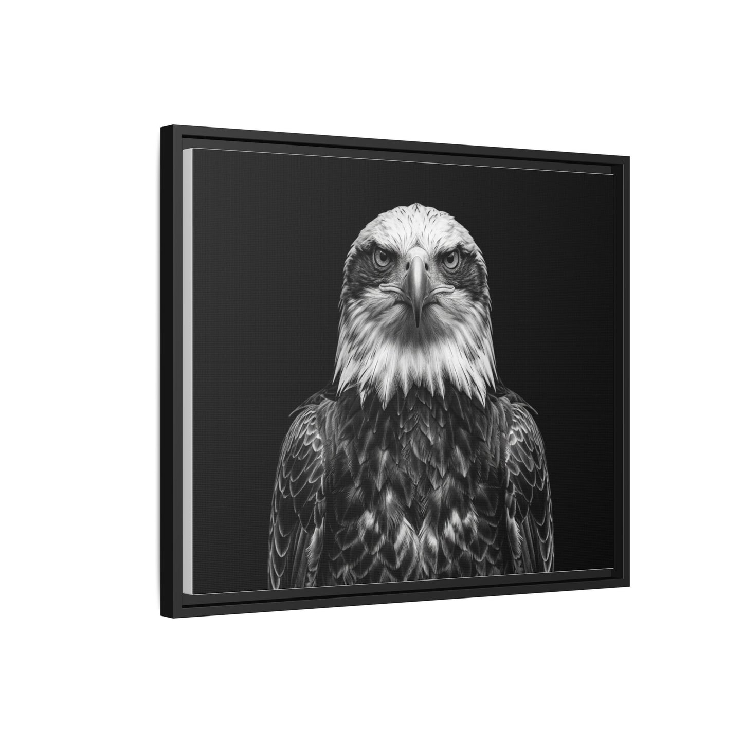 Framed Canvas Print — Fish Eagle In Black