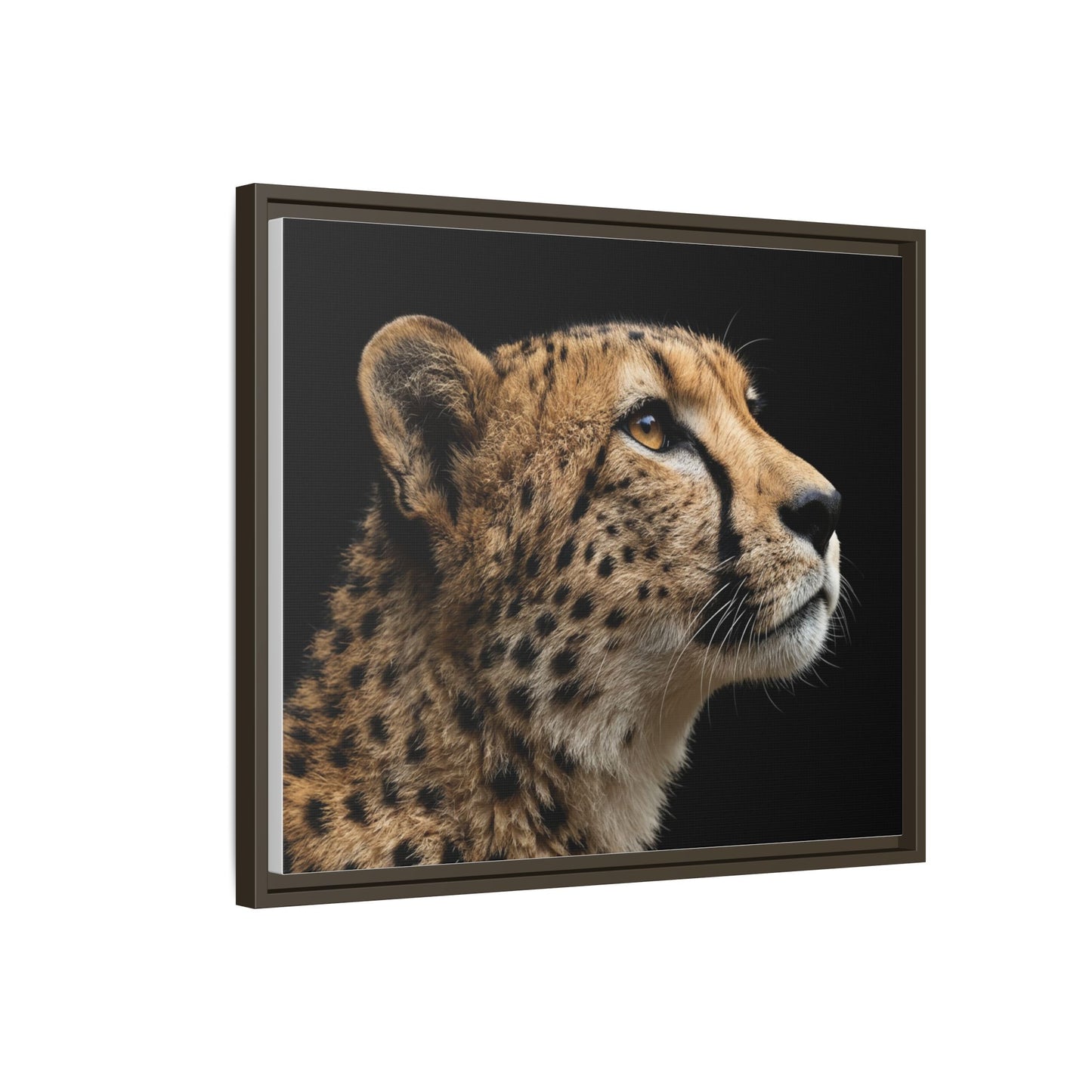 Framed Canvas Print — Lion Cub In Colour