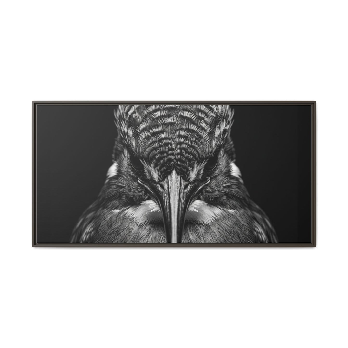 Framed Canvas Print — Malachite Kingfisher In Black